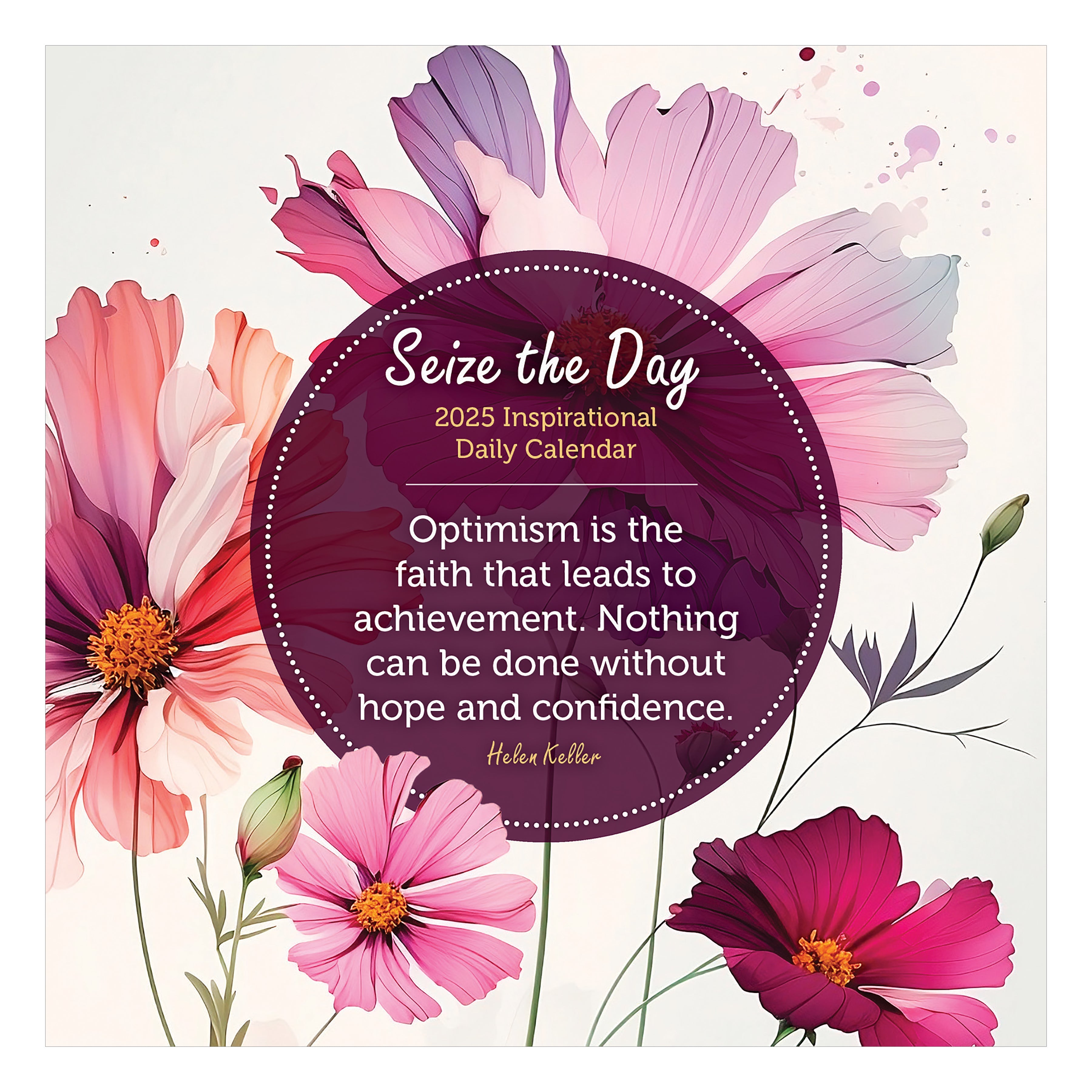 2025 Seize the Day - Daily Boxed Page-A-Day Calendar