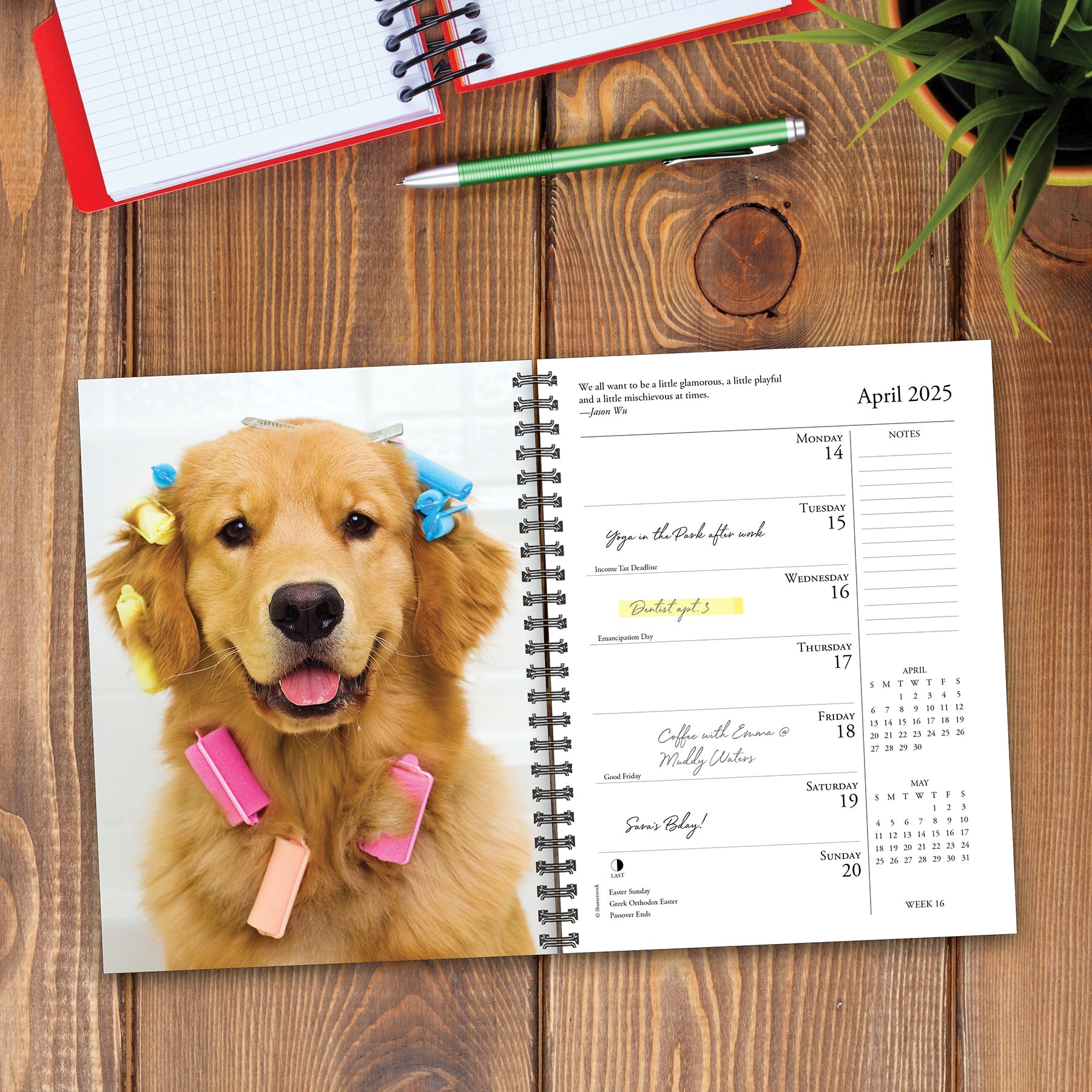 2025 What Goldens Teach Us - Weekly Diary/Planner