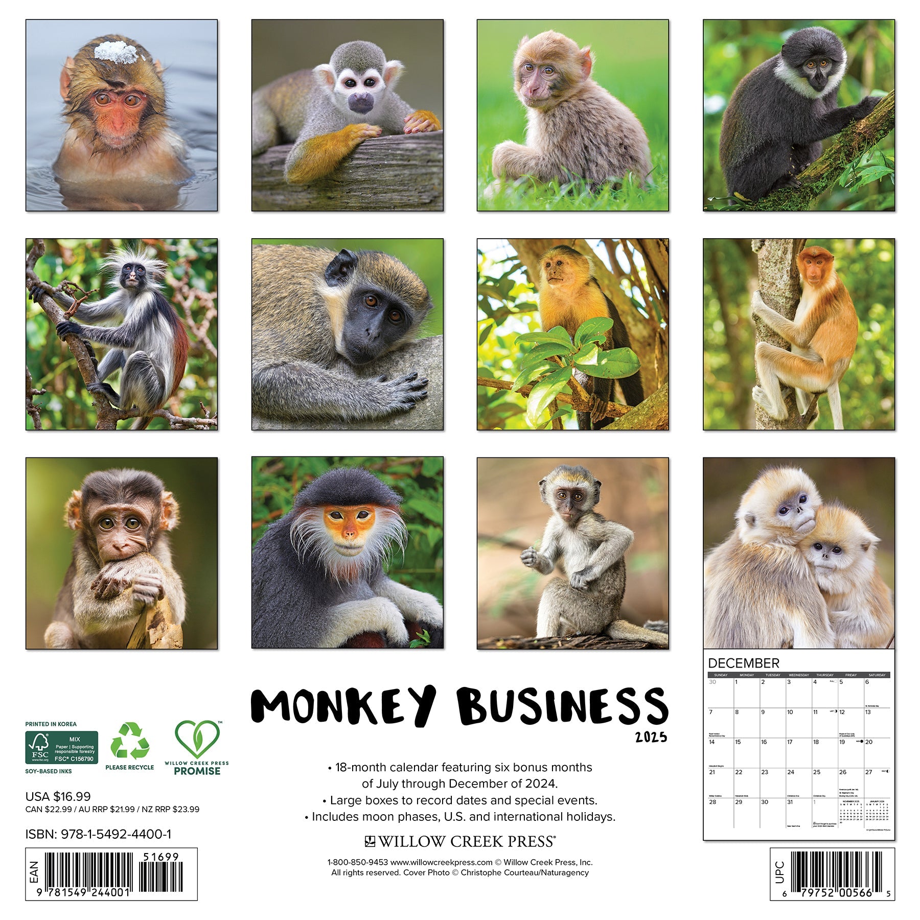 2025 Monkey Business - Square Wall Calendar