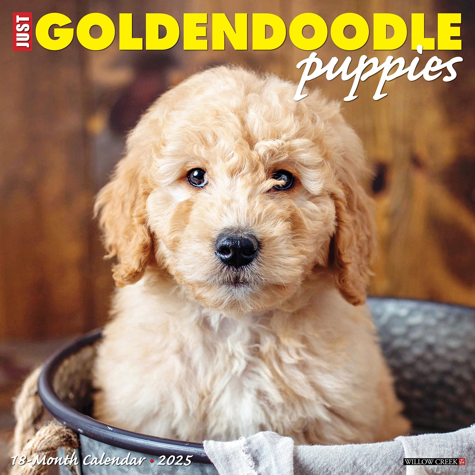 2025 Goldendoodle Puppies - Square Wall Calendar