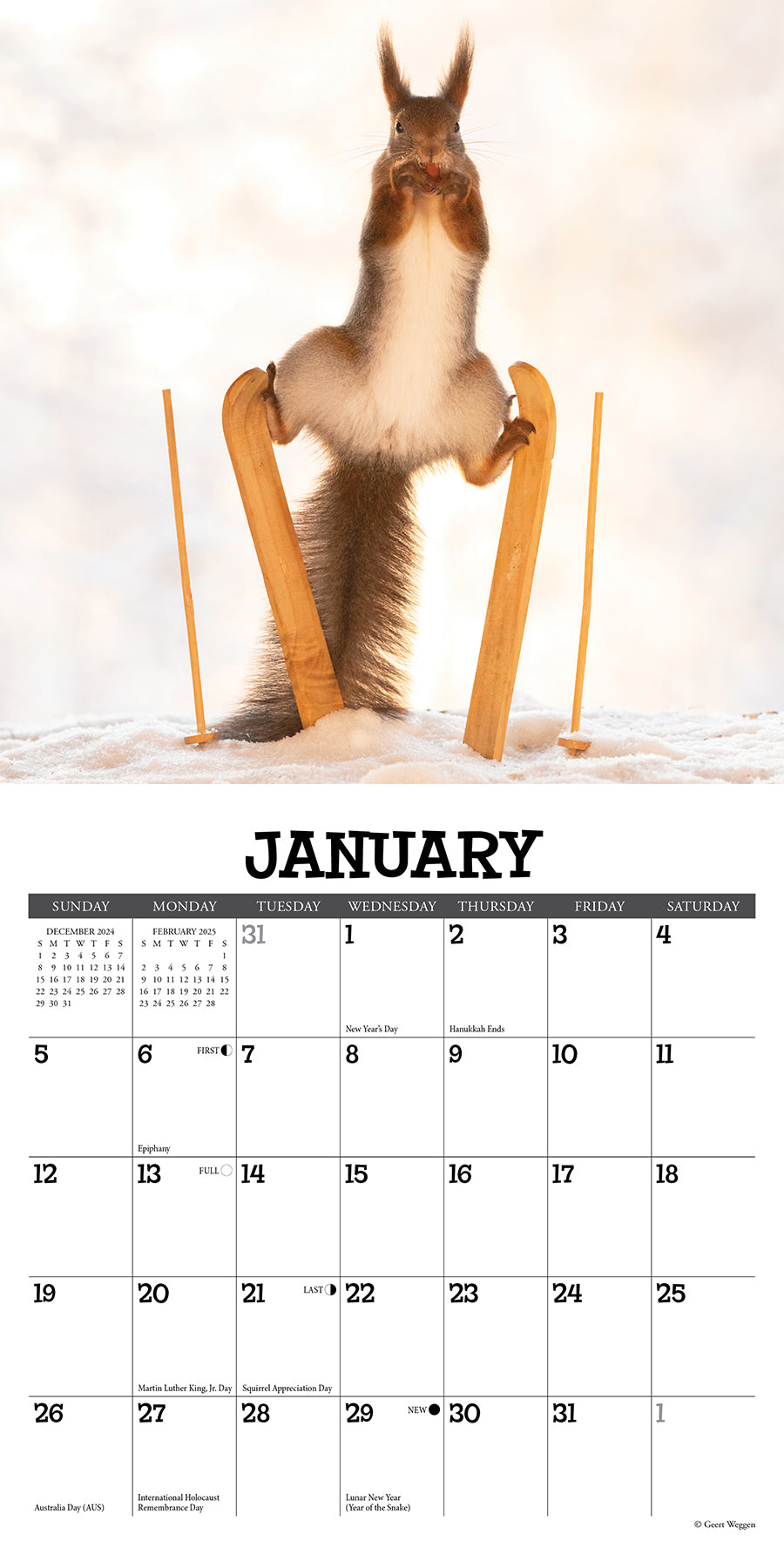 2025 Gettin' Squirrelly - Mini Wall Calendar