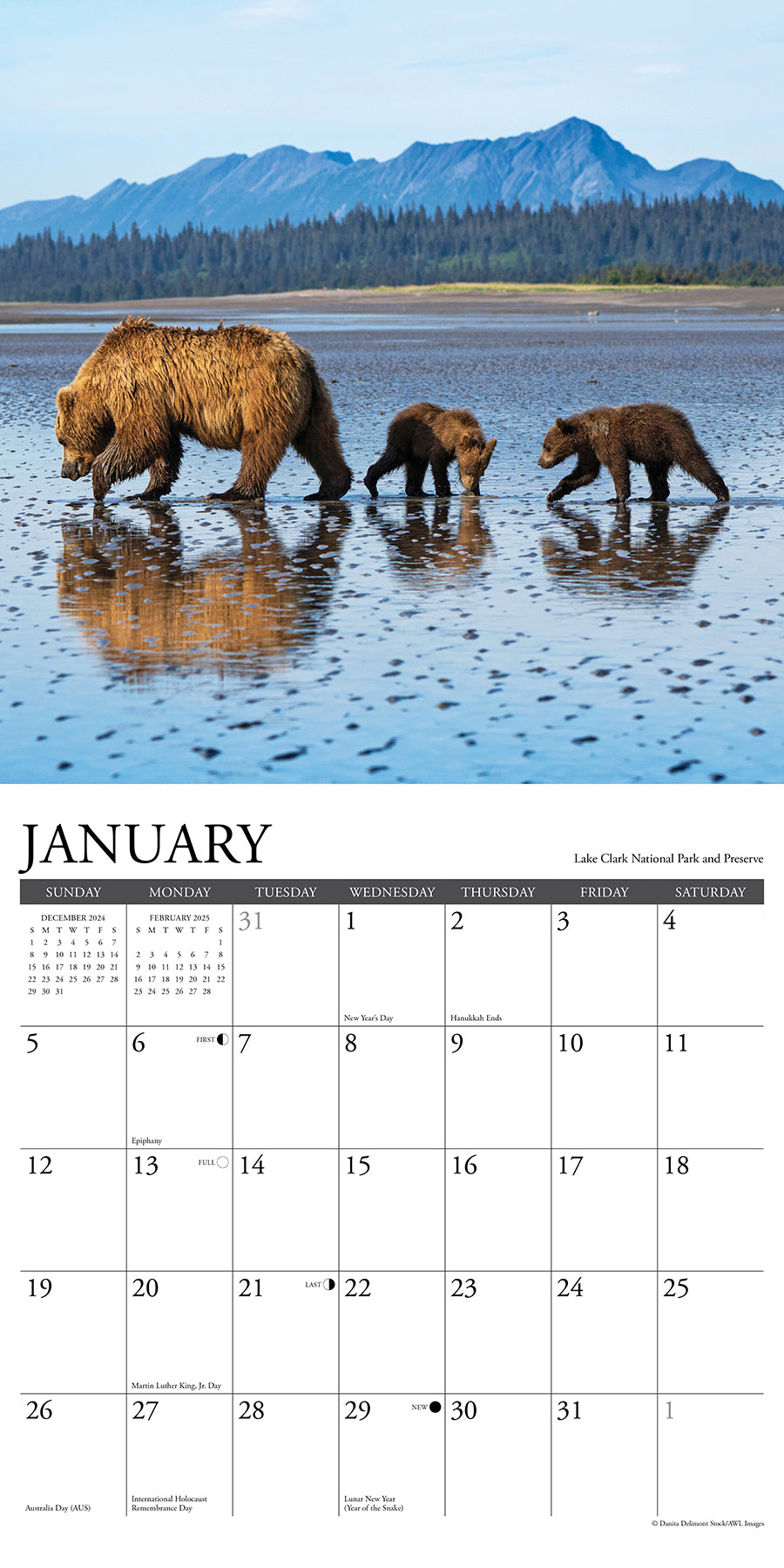 2025 Alaska - Square Wall Calendar