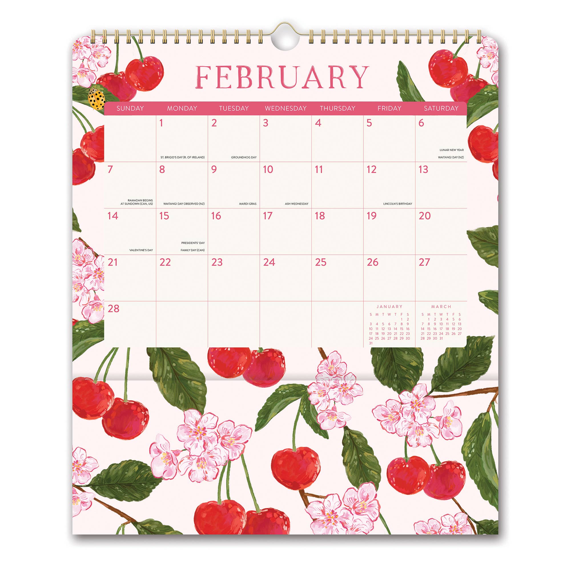 2027 Fruit & Flora Pockets Plus™ Wall Calendar