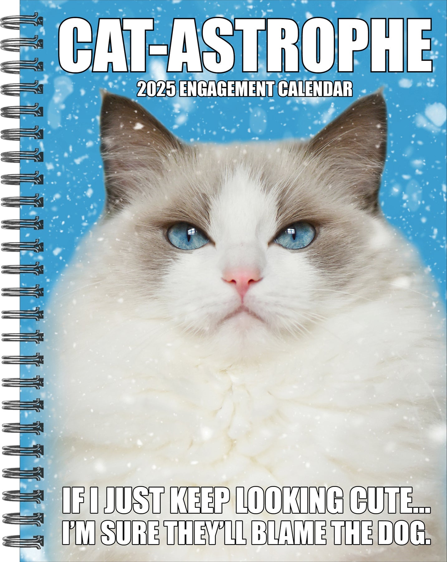 2025 Cat-astrophe - Weekly Diary/Planner