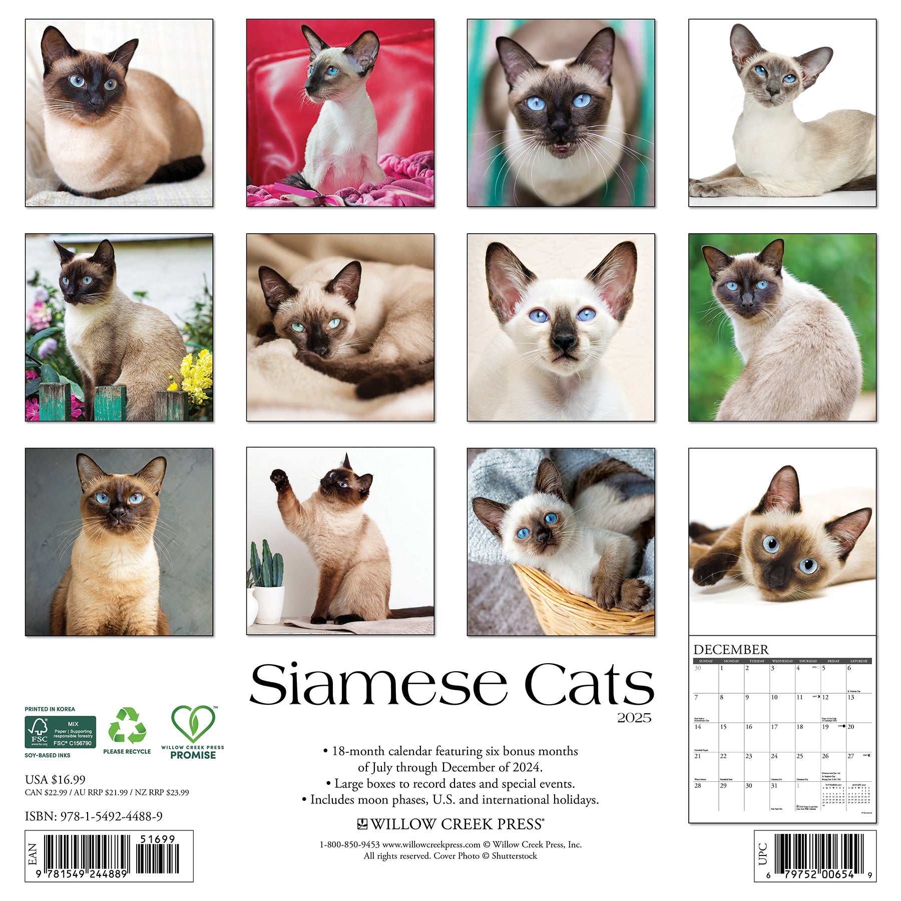2025 Siamese Cats - Square Wall Calendar