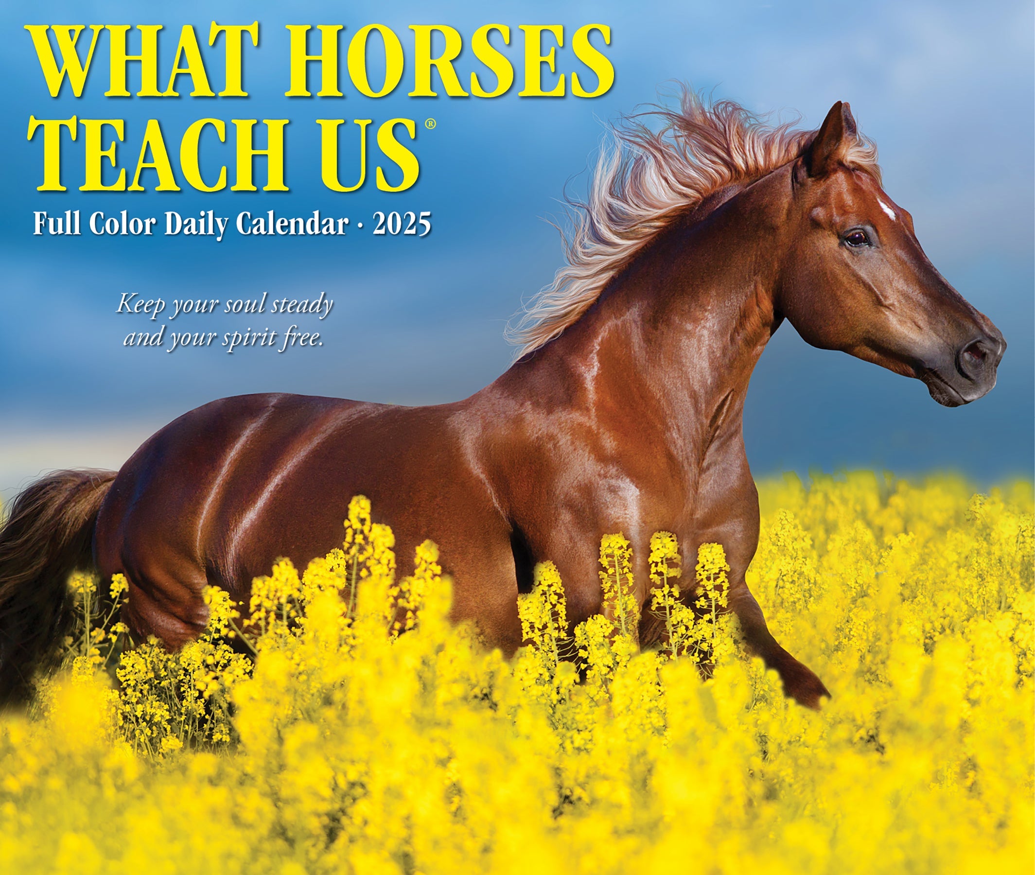 2025 What Horses Teach Us - Daily Boxed Page-A-Day Calendar