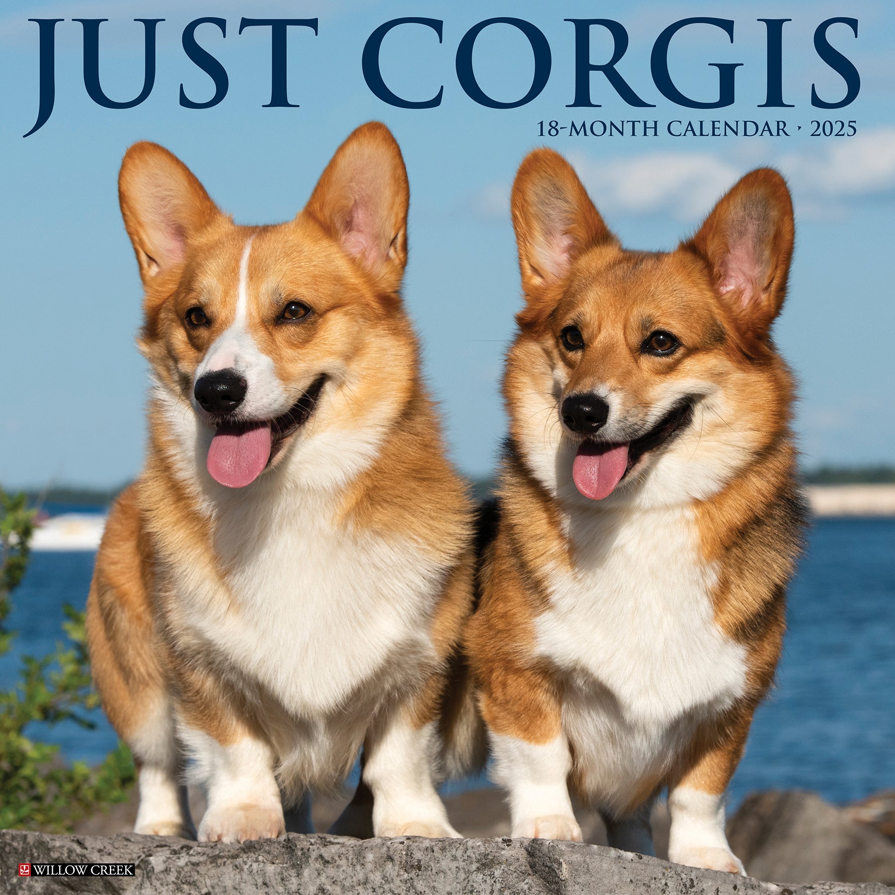 2025 Corgis - Square Wall Calendar