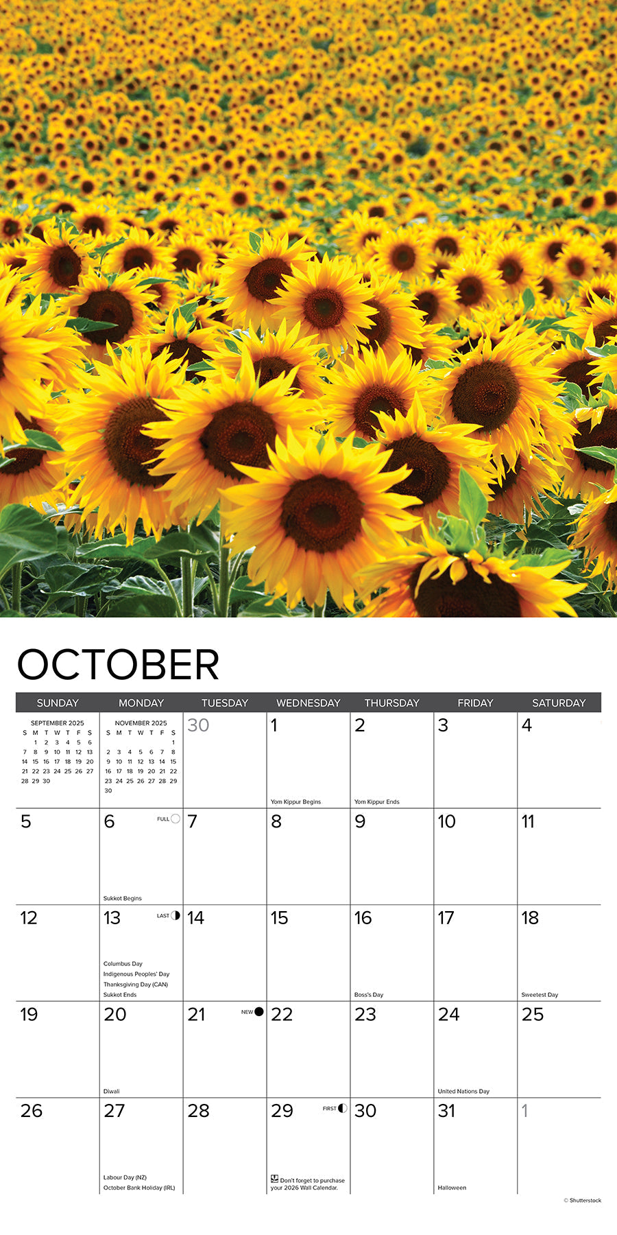2025 Sunflowers - Square Wall Calendar