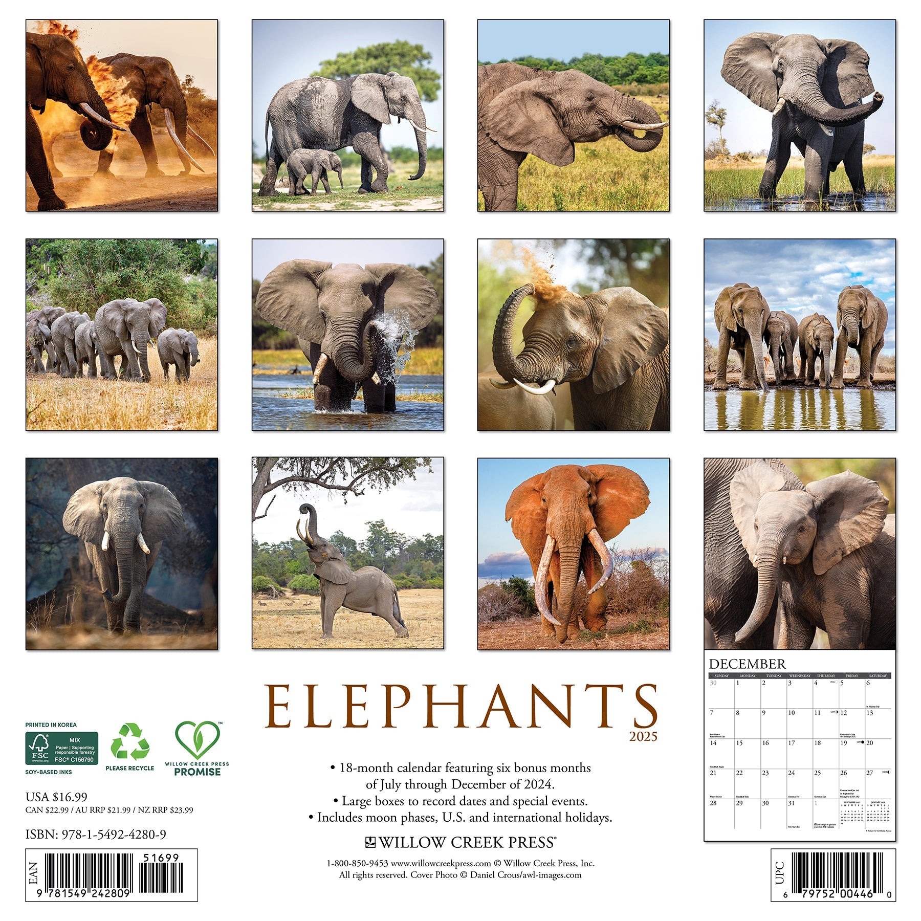 2025 Elephants - Square Wall Calendar