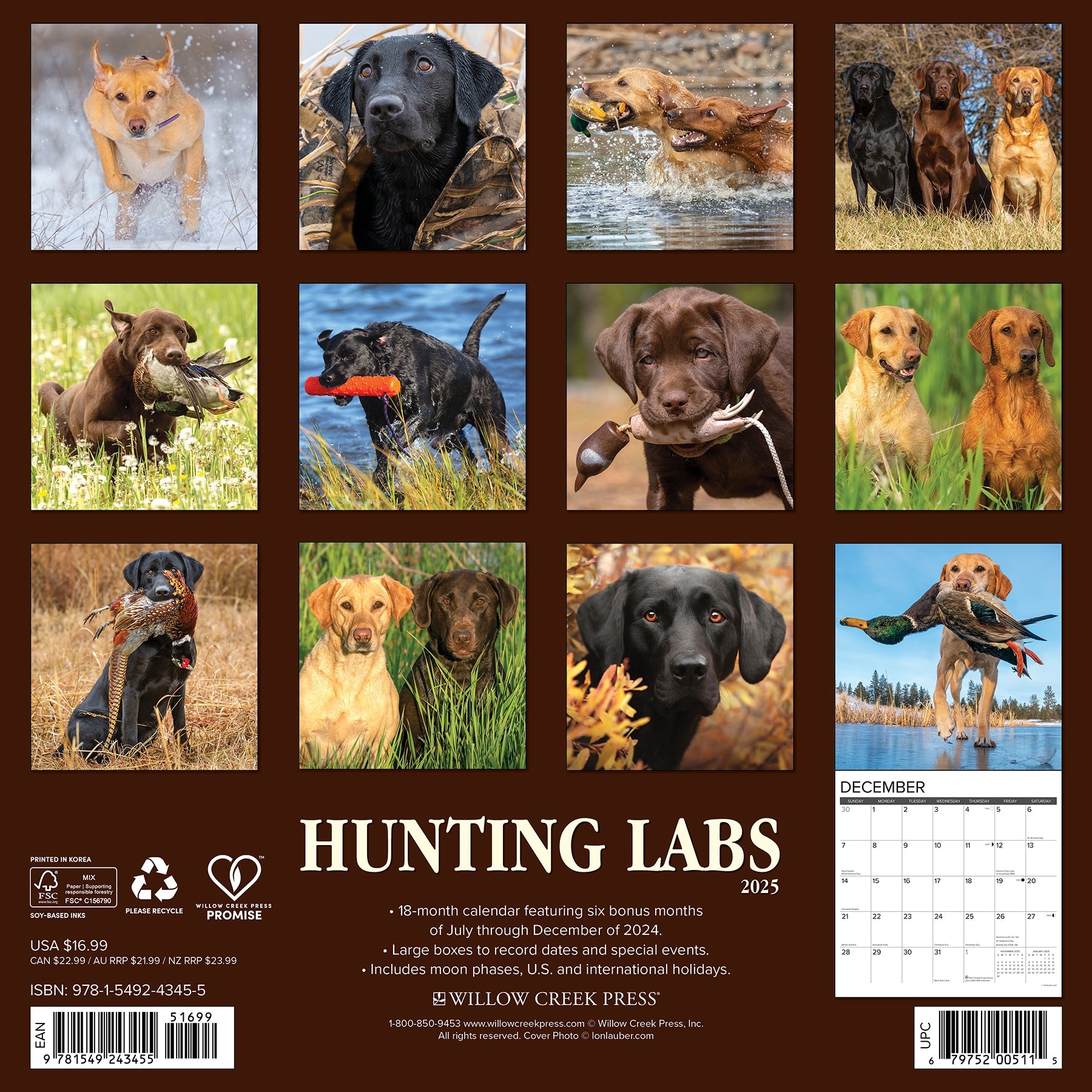 2025 Hunting Labs - Square Wall Calendar