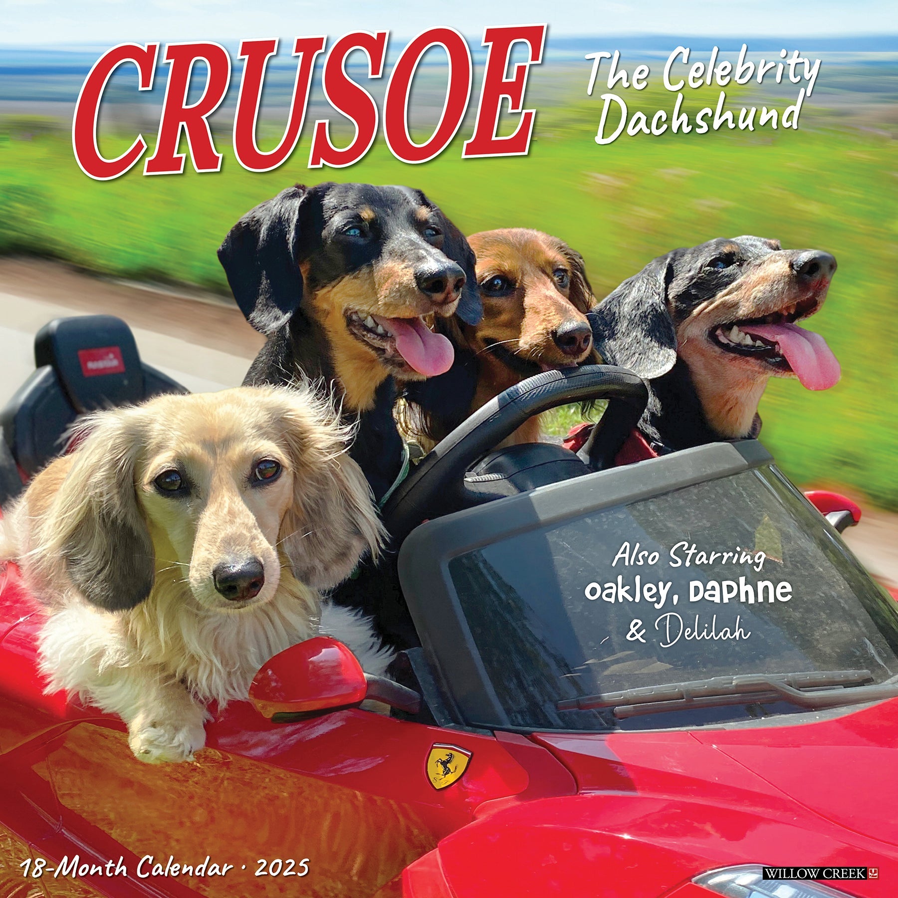 2025 Crusoe the Celebrity Dachshund - Square Wall Calendar