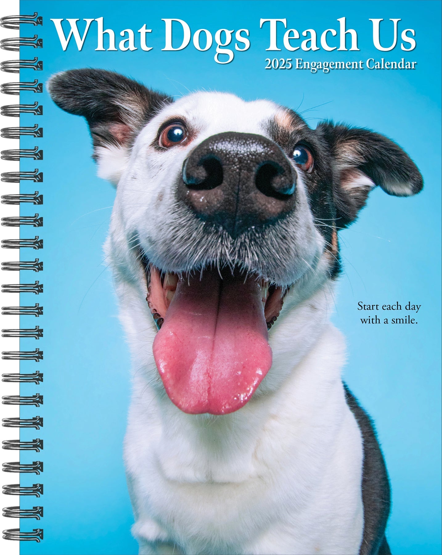 2025 What Dogs Teach Us - Weekly Diary/Planner