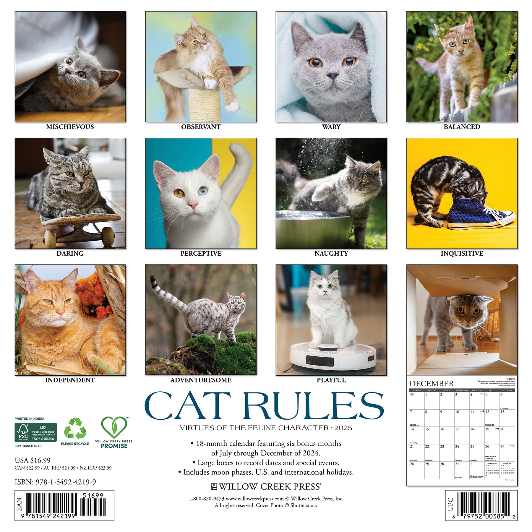 2025 Cat Rules - Square Wall Calendar