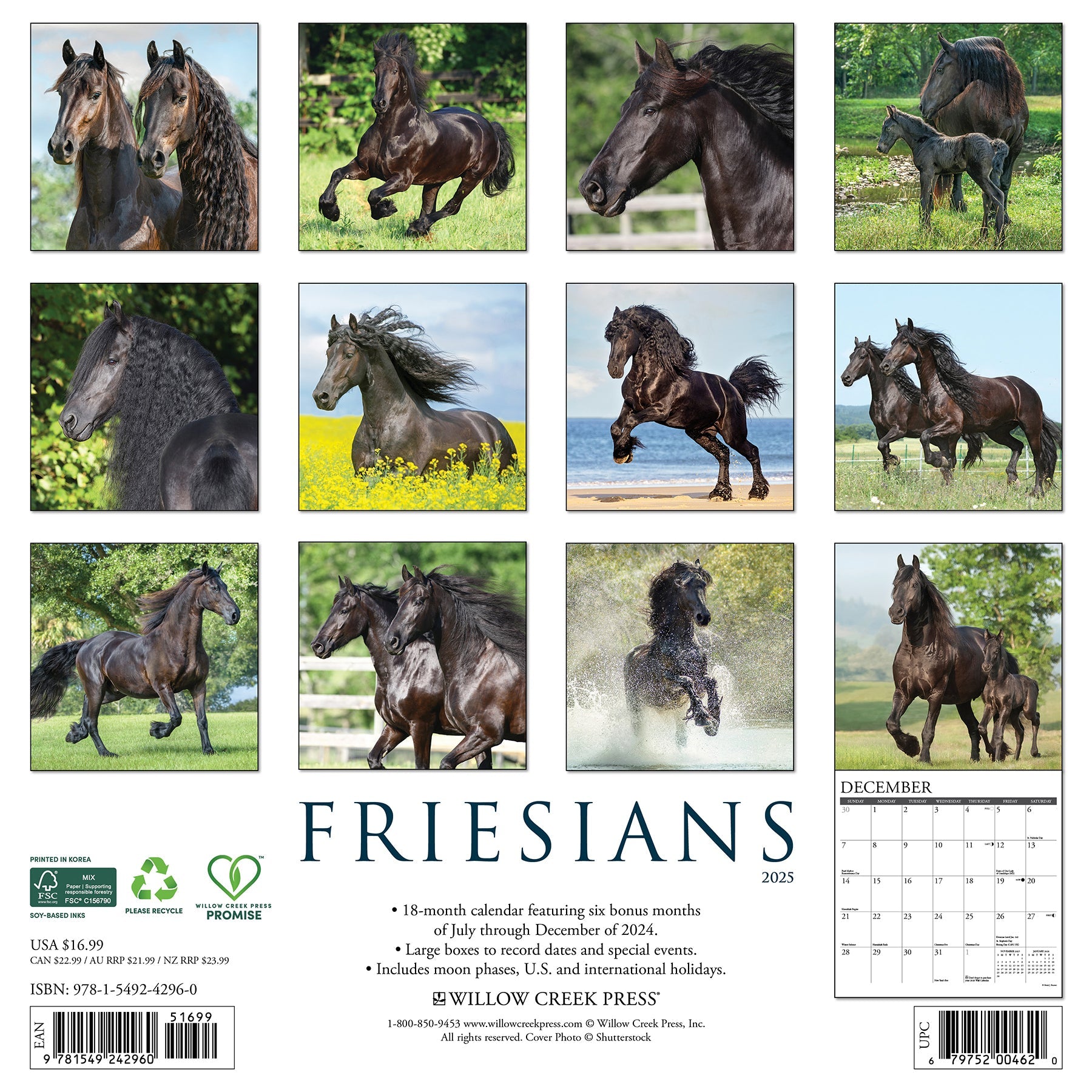 2025 Friesians - Square Wall Calendar