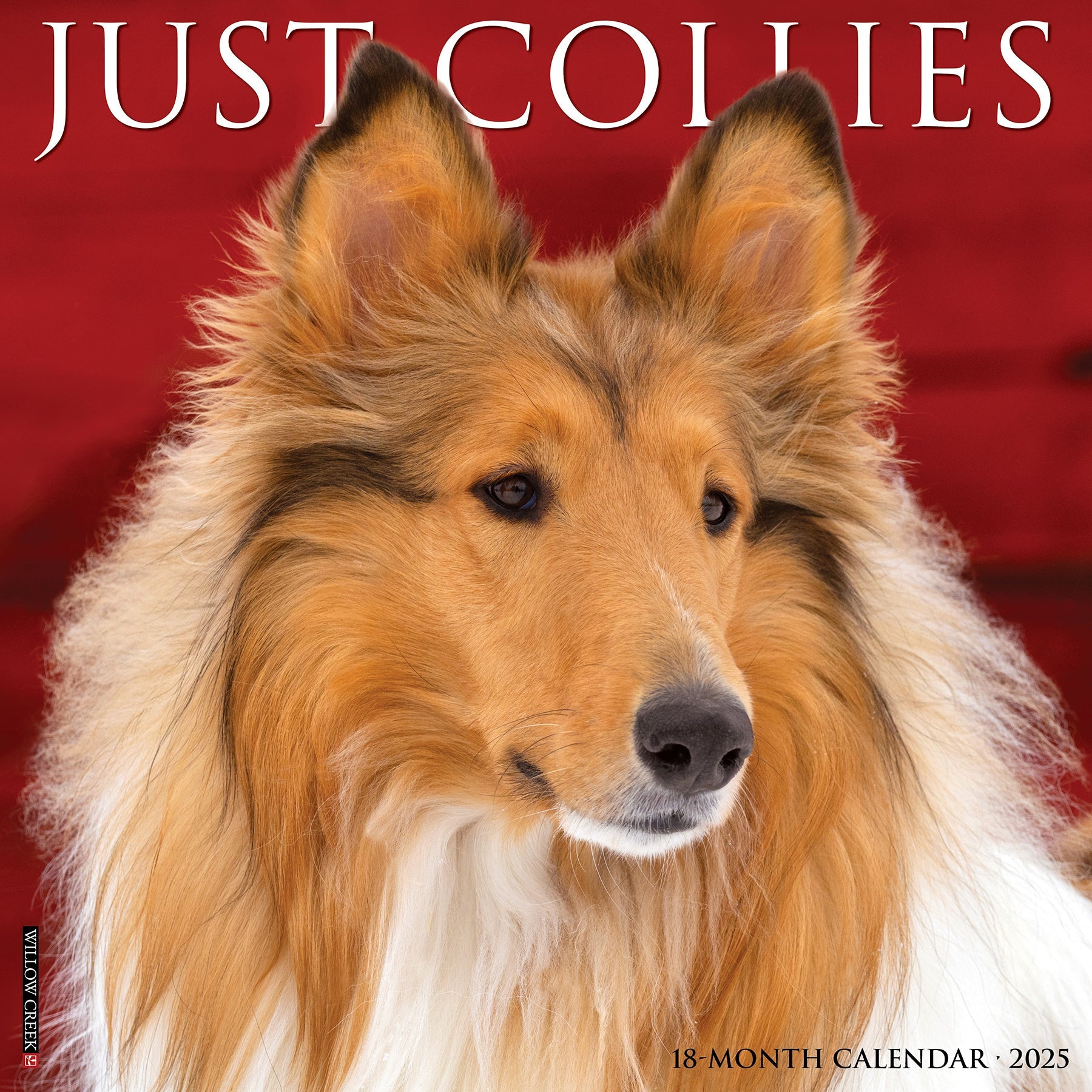 2025 Collies - Square Wall Calendar