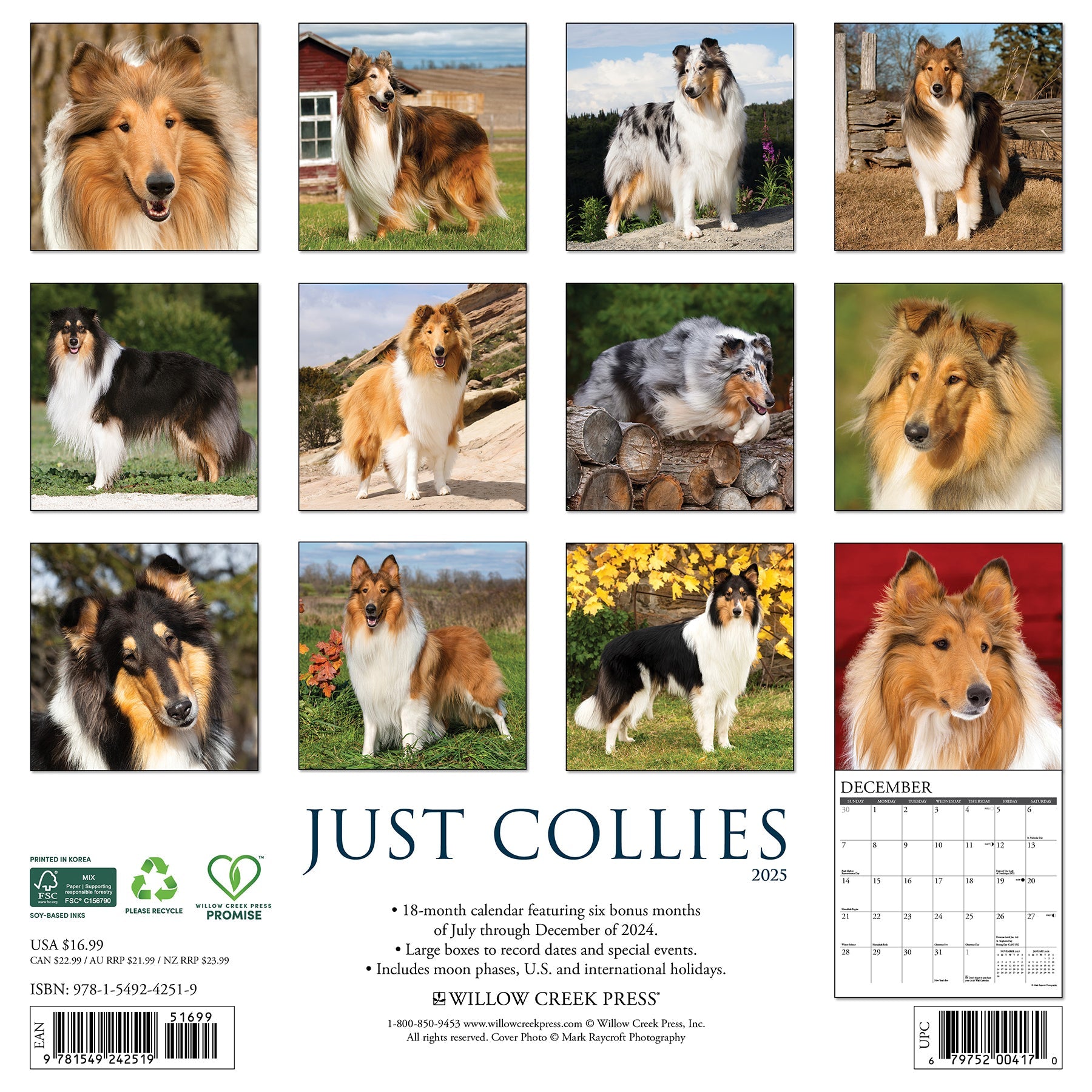 2025 Collies - Square Wall Calendar