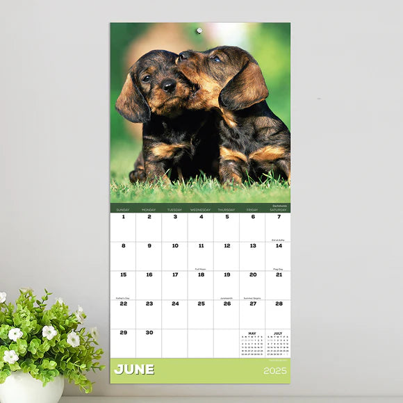 2025 Puppies - Mini Wall Calendar