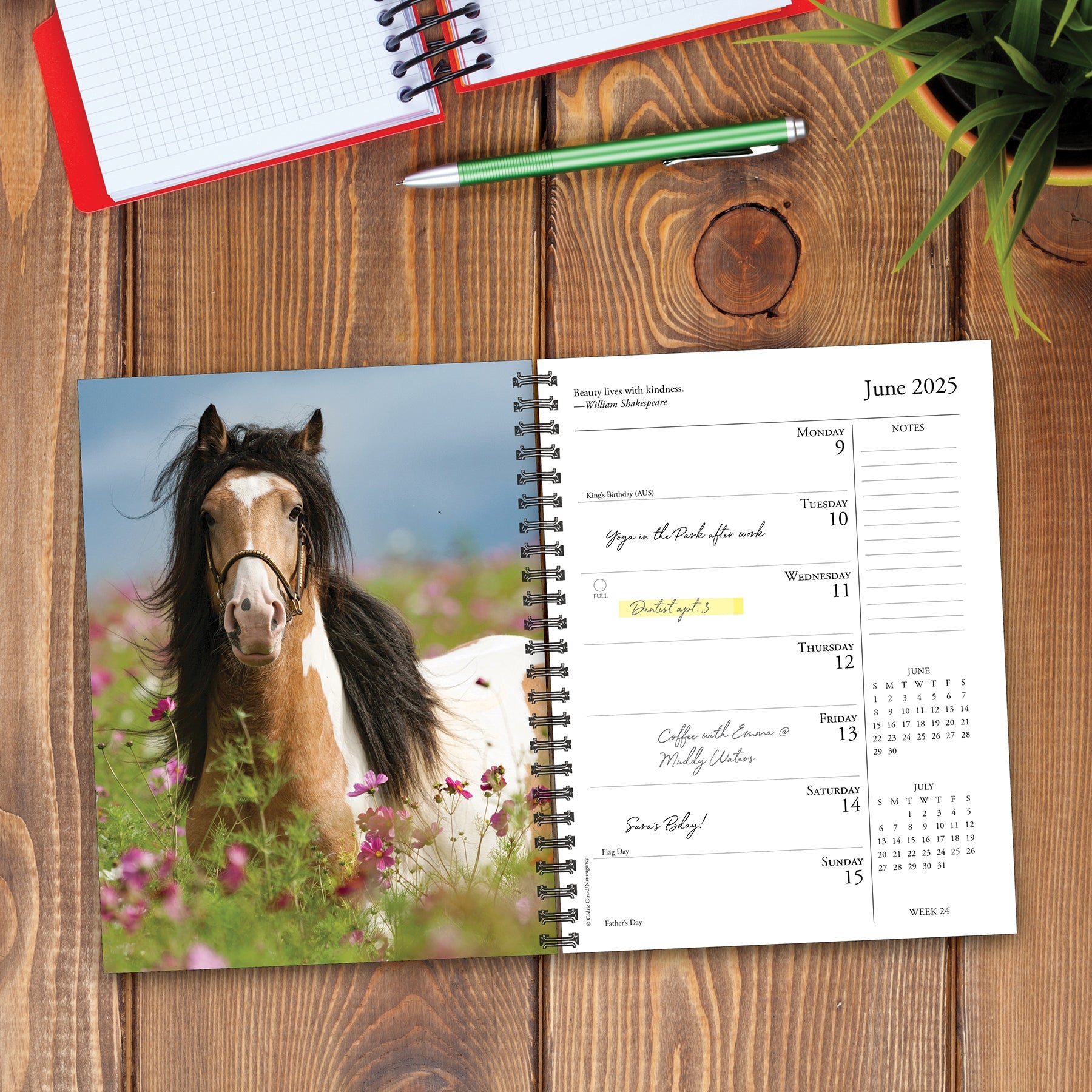 2025 What Horses Teach Us - Weekly Diary/Planner