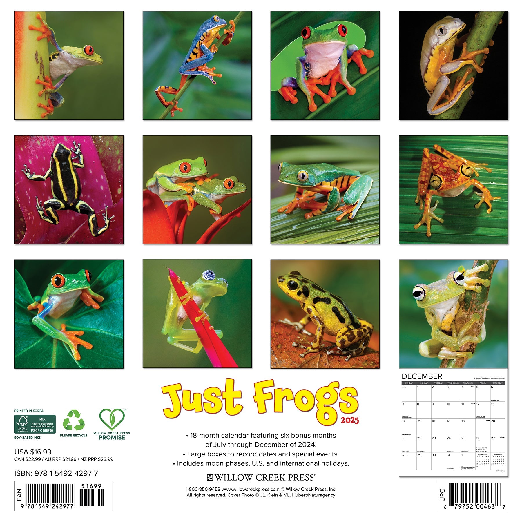 2025 Frogs - Square Wall Calendar