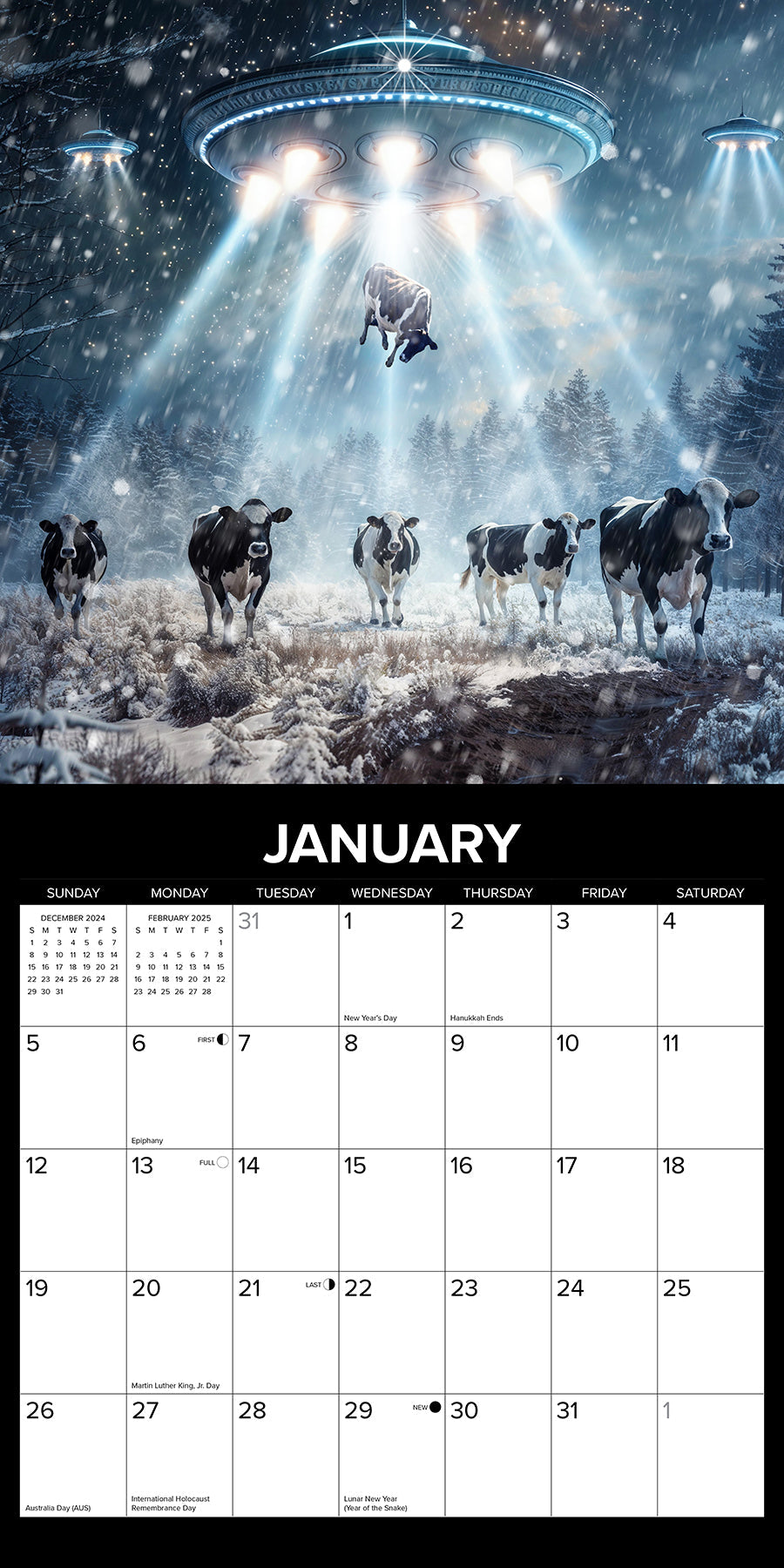 2025 Cow Abductions - Square Wall Calendar