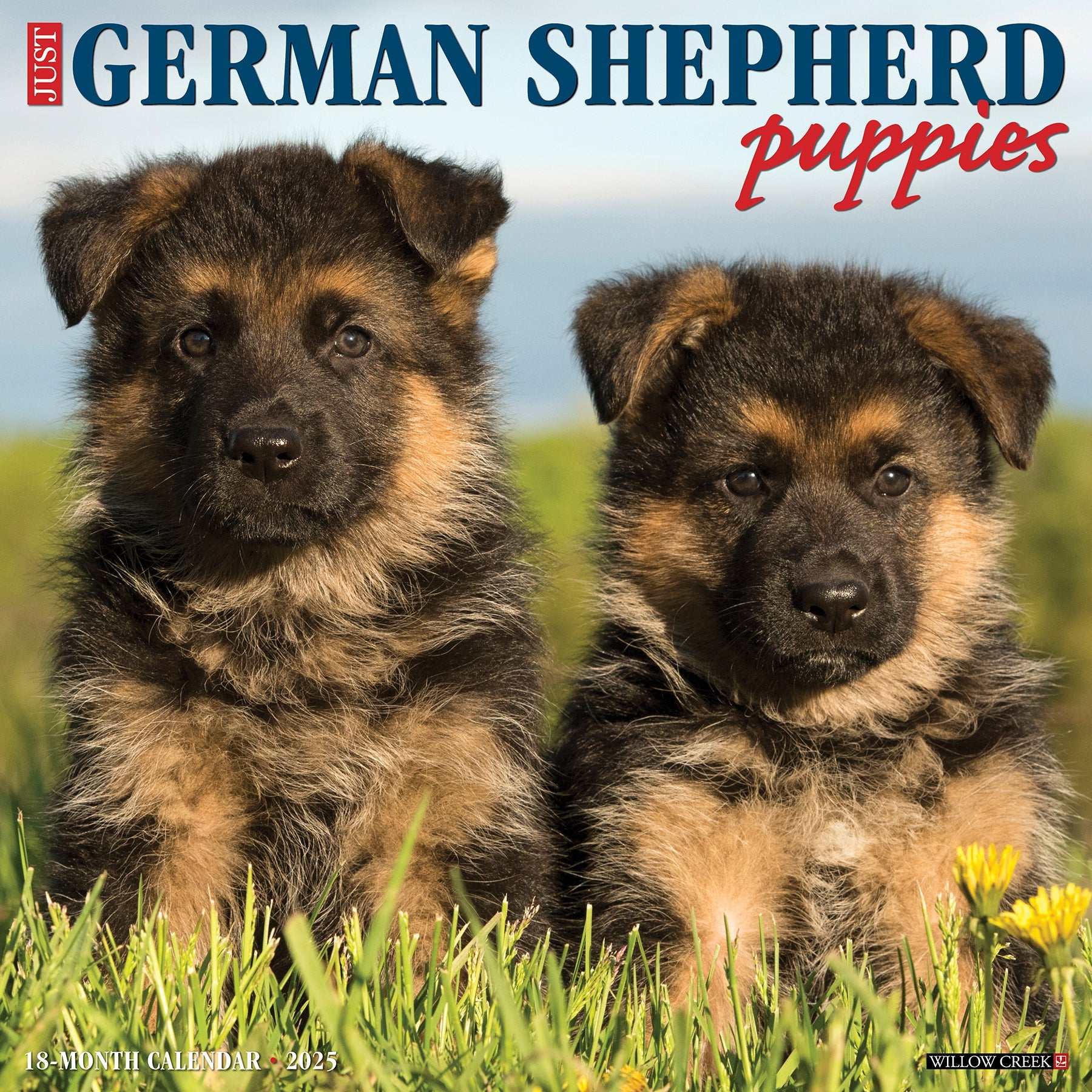 2025 German Shepherd Puppies - Square Wall Calendar