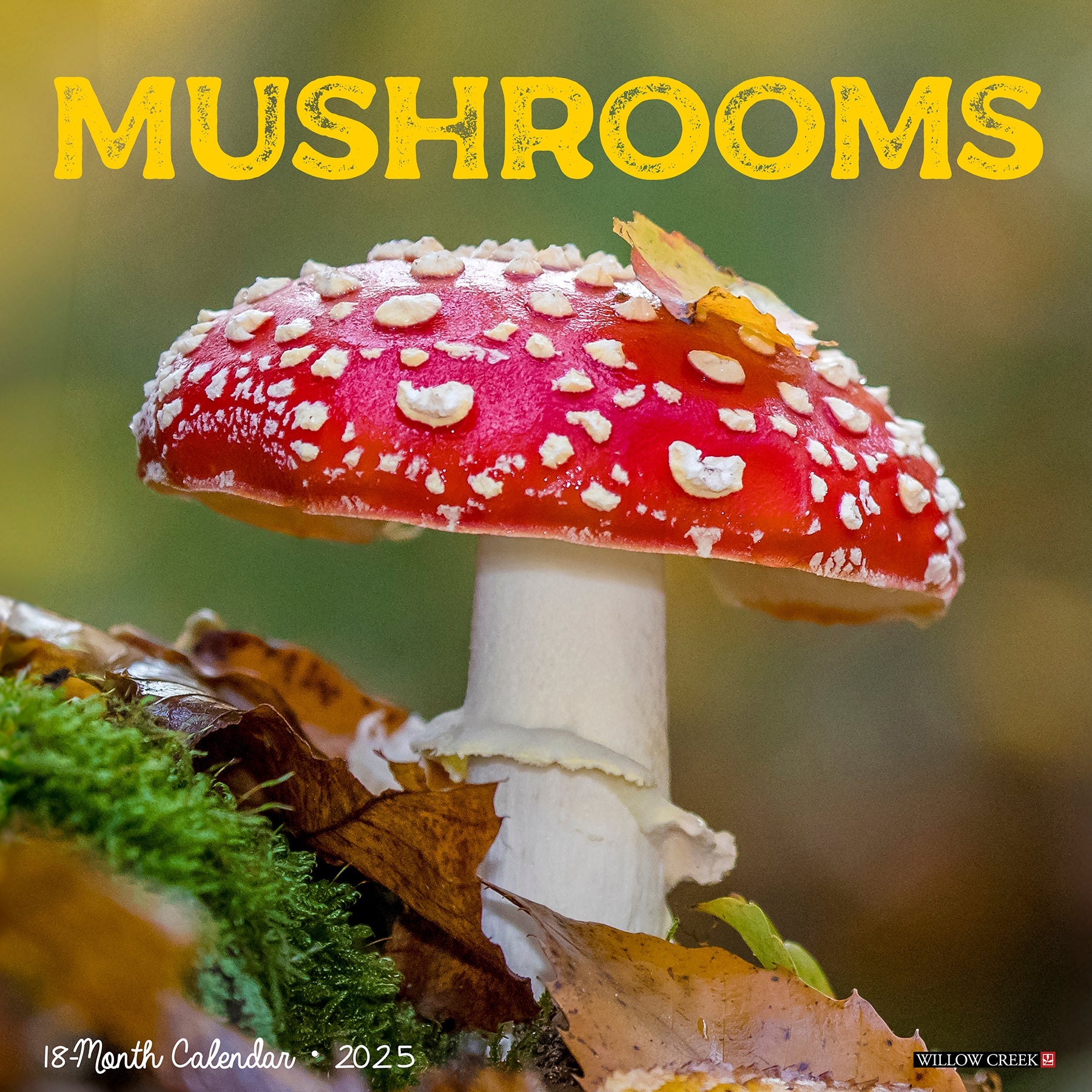 2025 Mushrooms - Square Wall Calendar