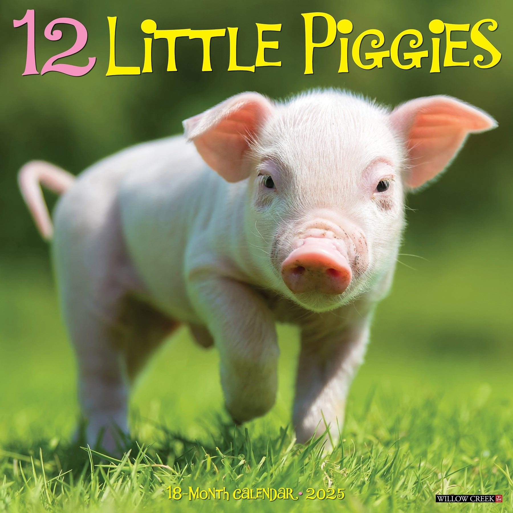 2025 12 Little Piggies - Square Wall Calendar