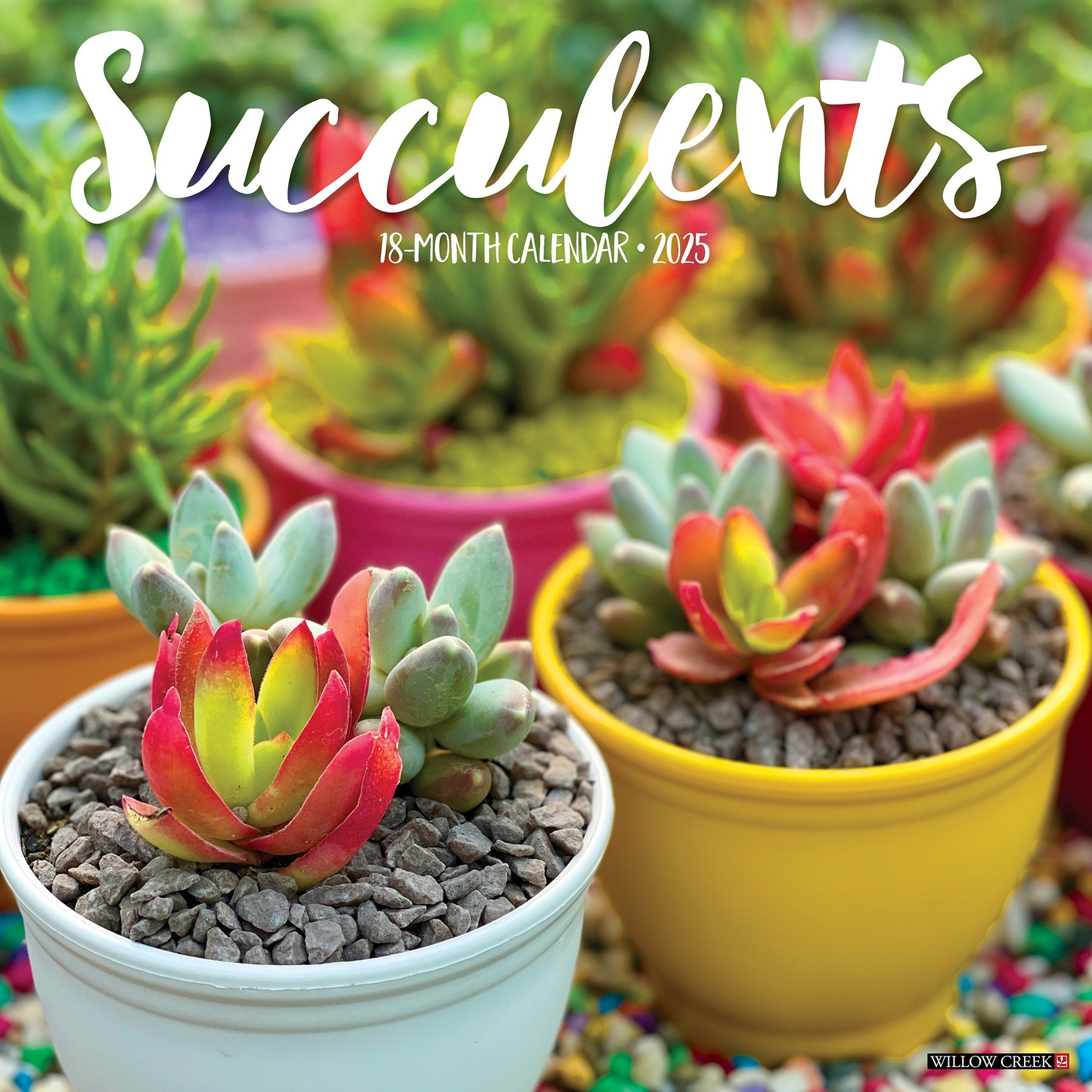 2025 Succulents - Square Wall Calendar