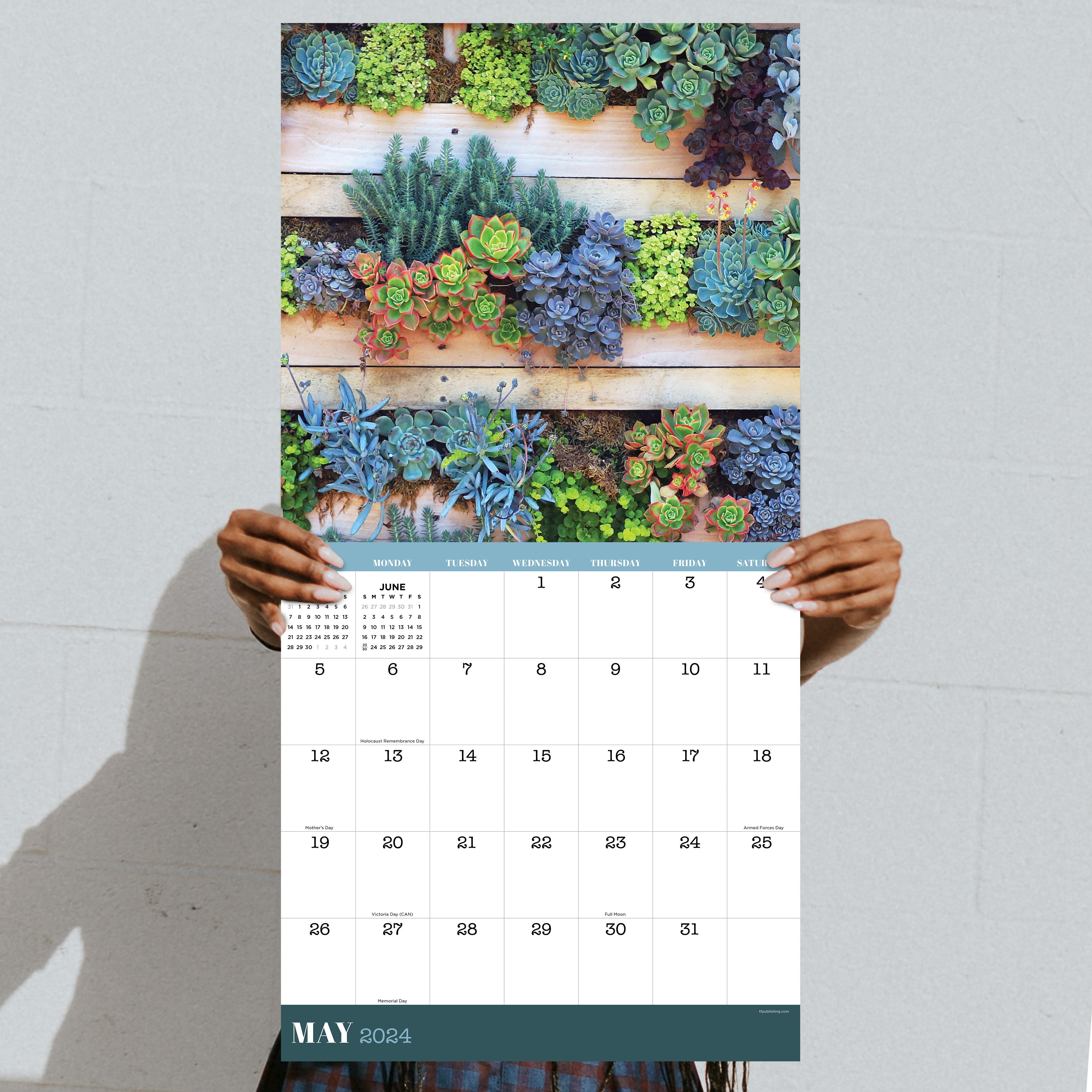 2024 Succulents (by TF Publishing) - Square Wall Calendar