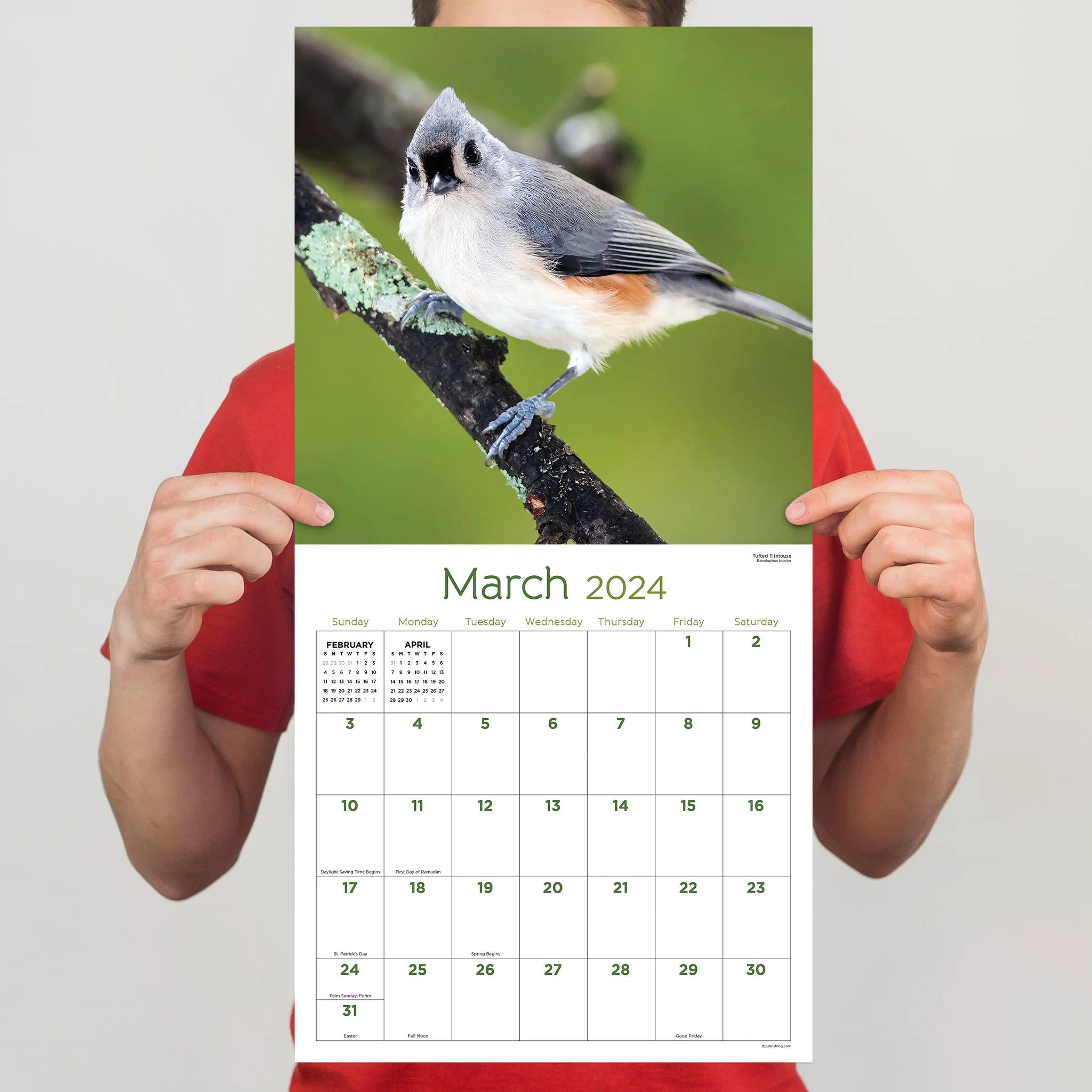 2024 Backyard Birds - Square Wall Calendar
