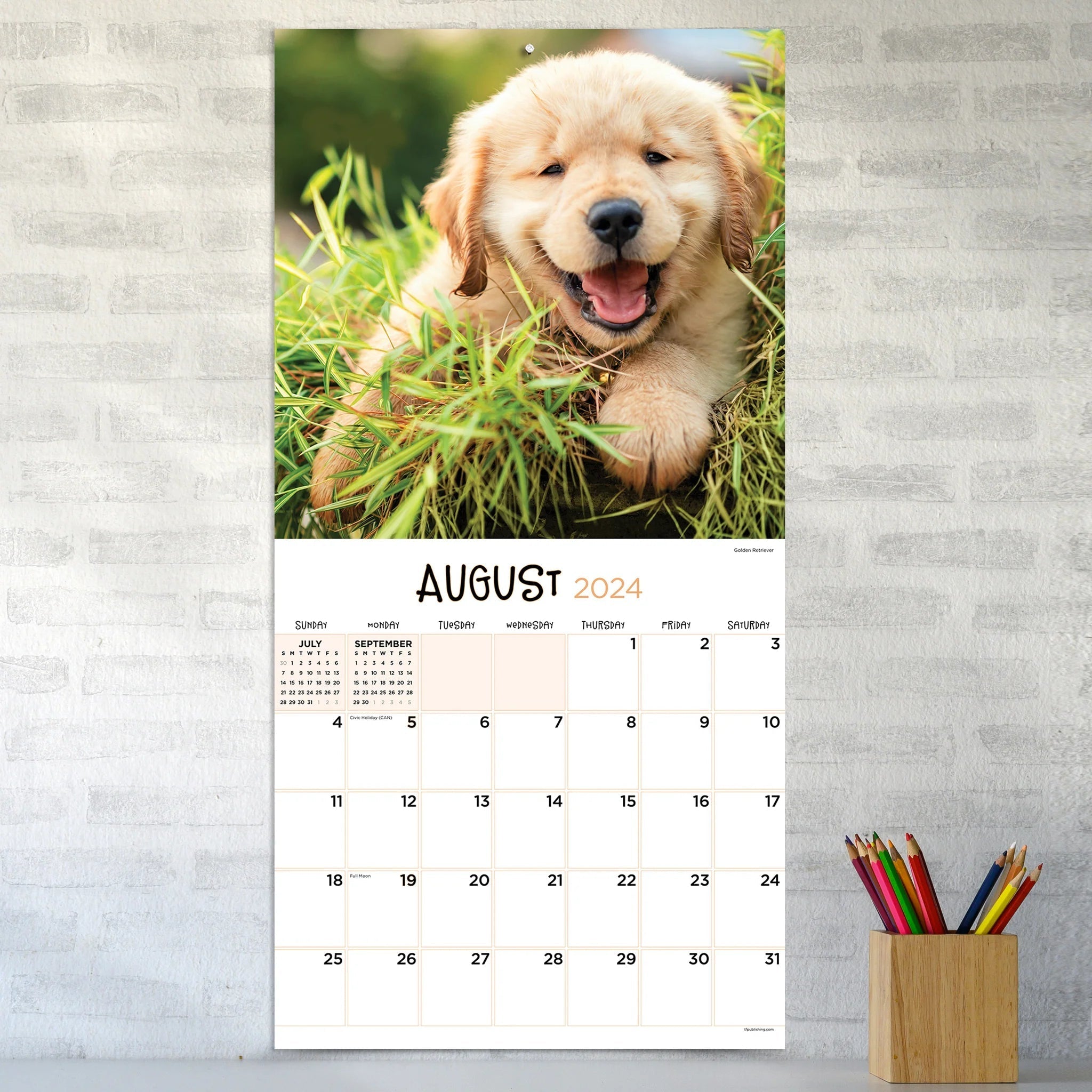 2024 Puppies (by TF Publishing) - Square Wall Calendar