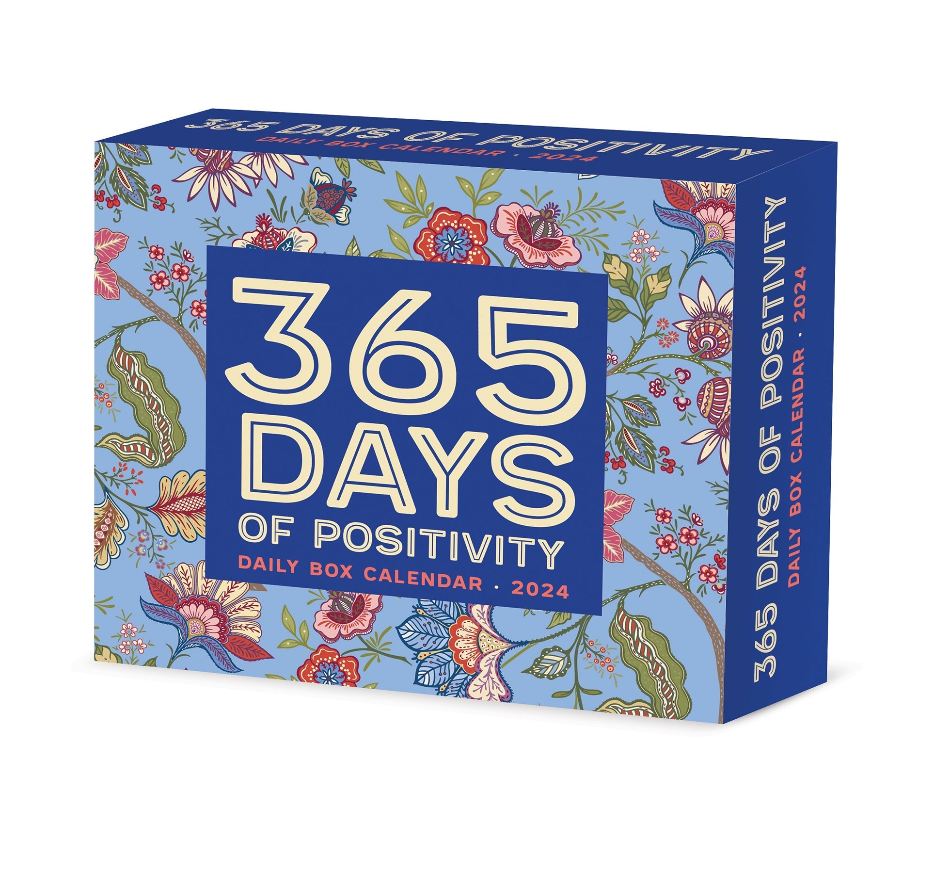 2024 365 Days of Positivity - Boxed Page A Day Calendar