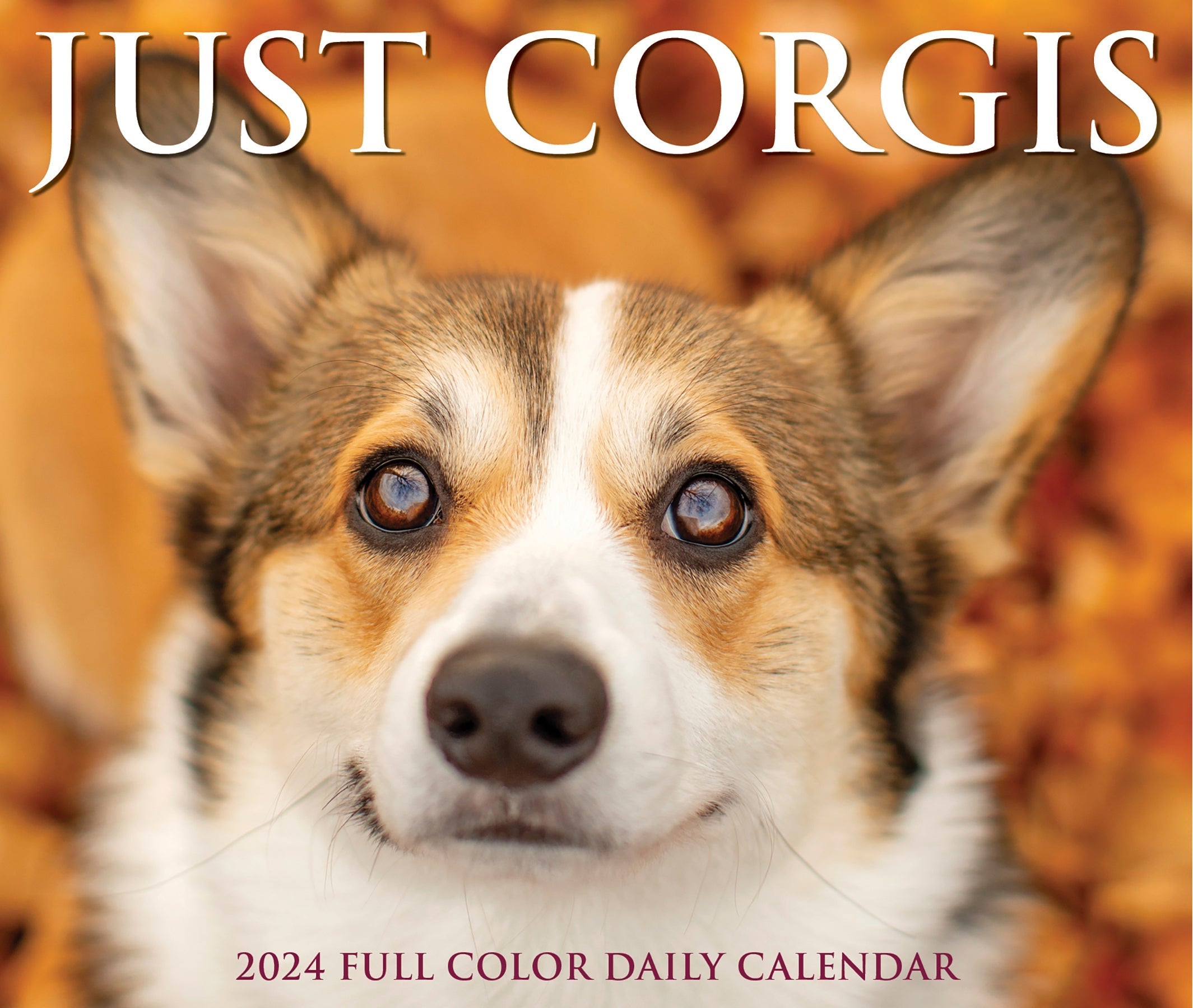 2024 Corgis - Boxed Page A Day Calendar
