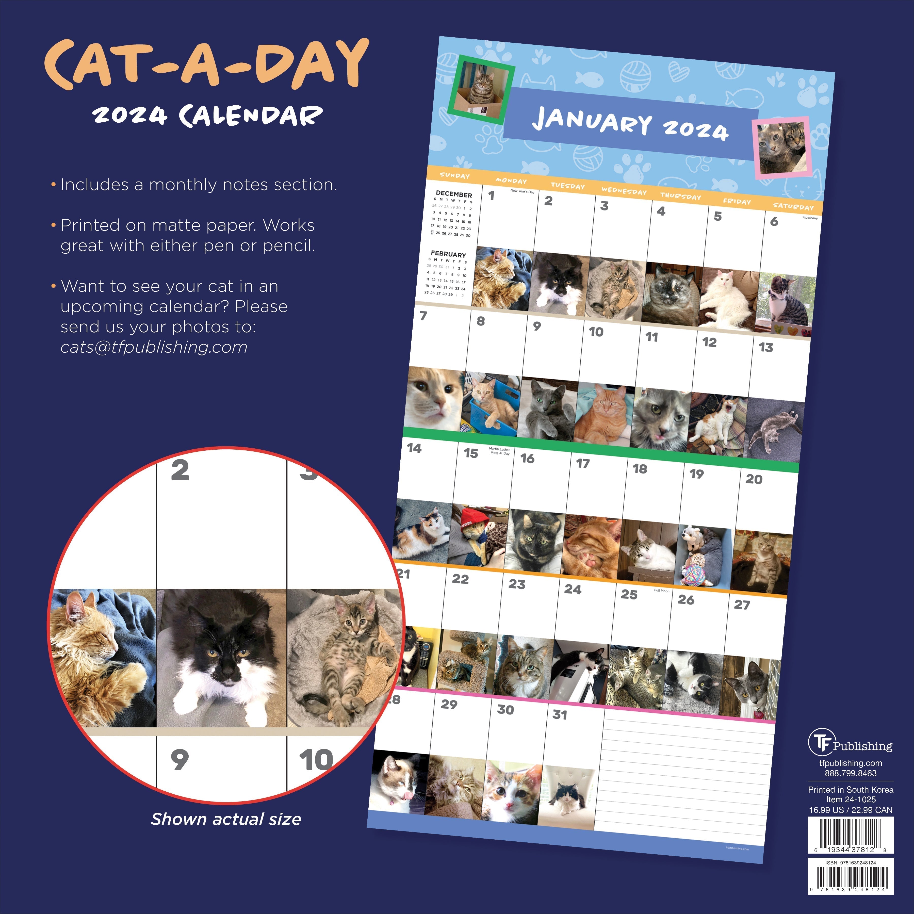 2024 Cat-A-Day - Square Wall Calendar