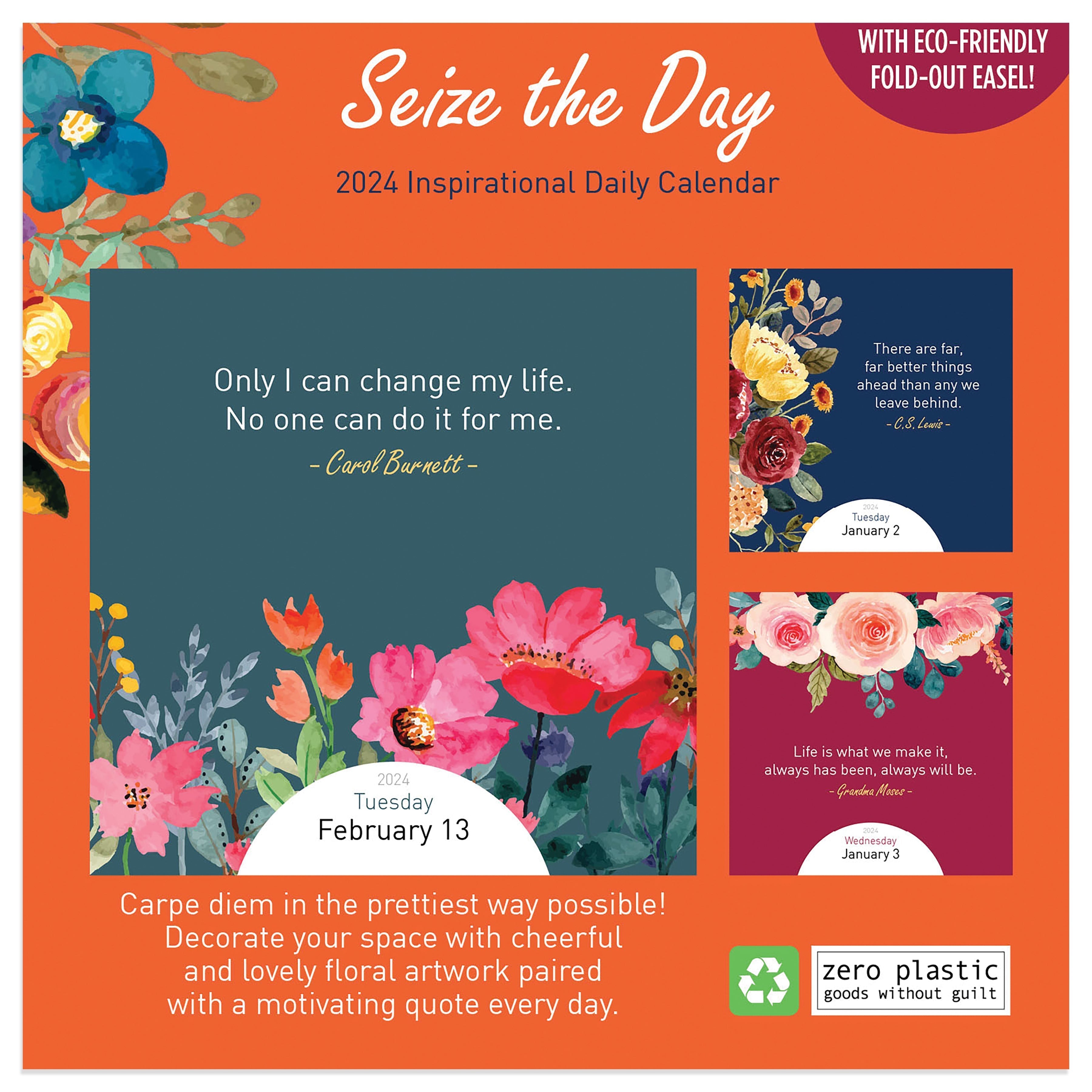 2024 Seize the Day - Daily Boxed Page-A-Day  Calendar