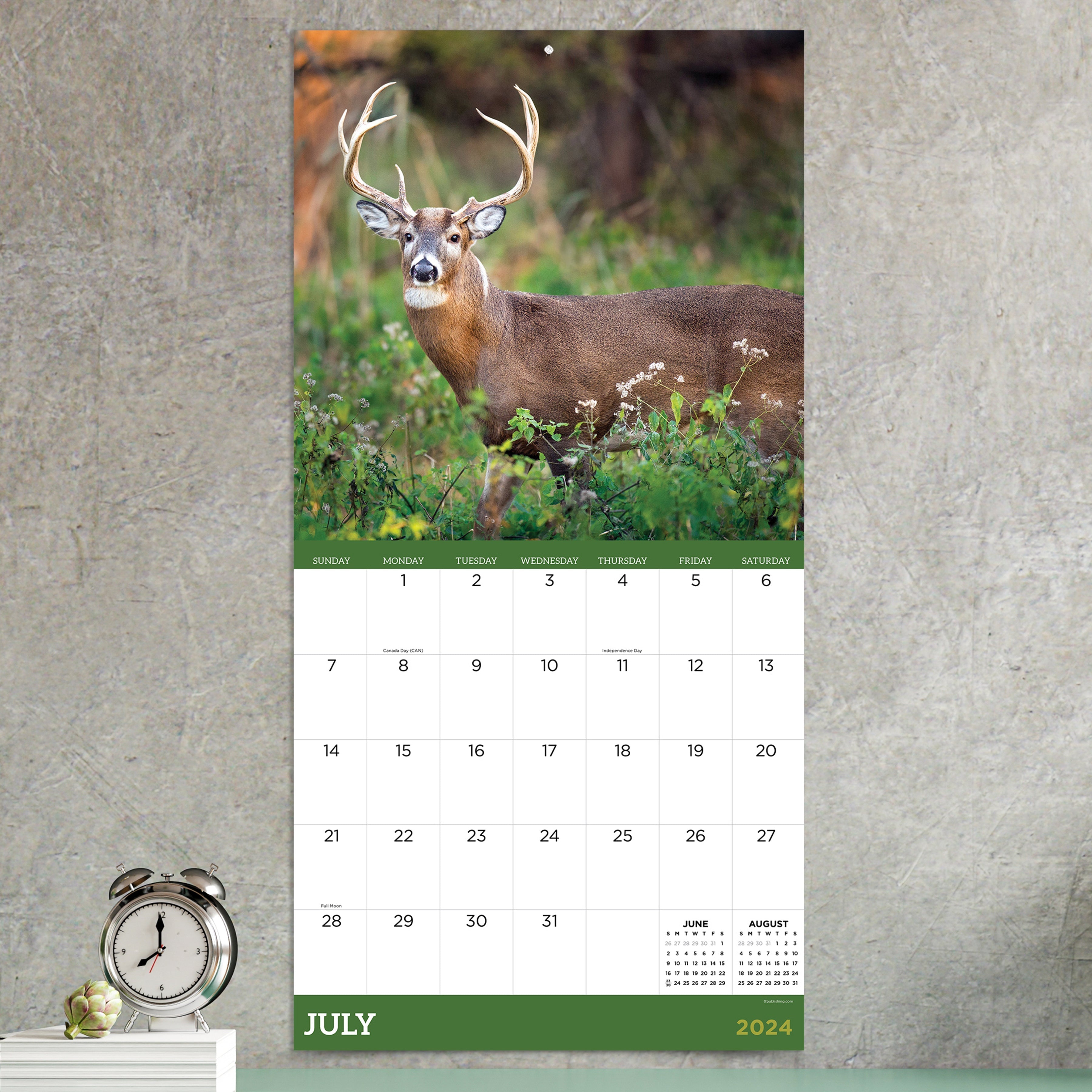 2024 Deer - Square Wall Calendar