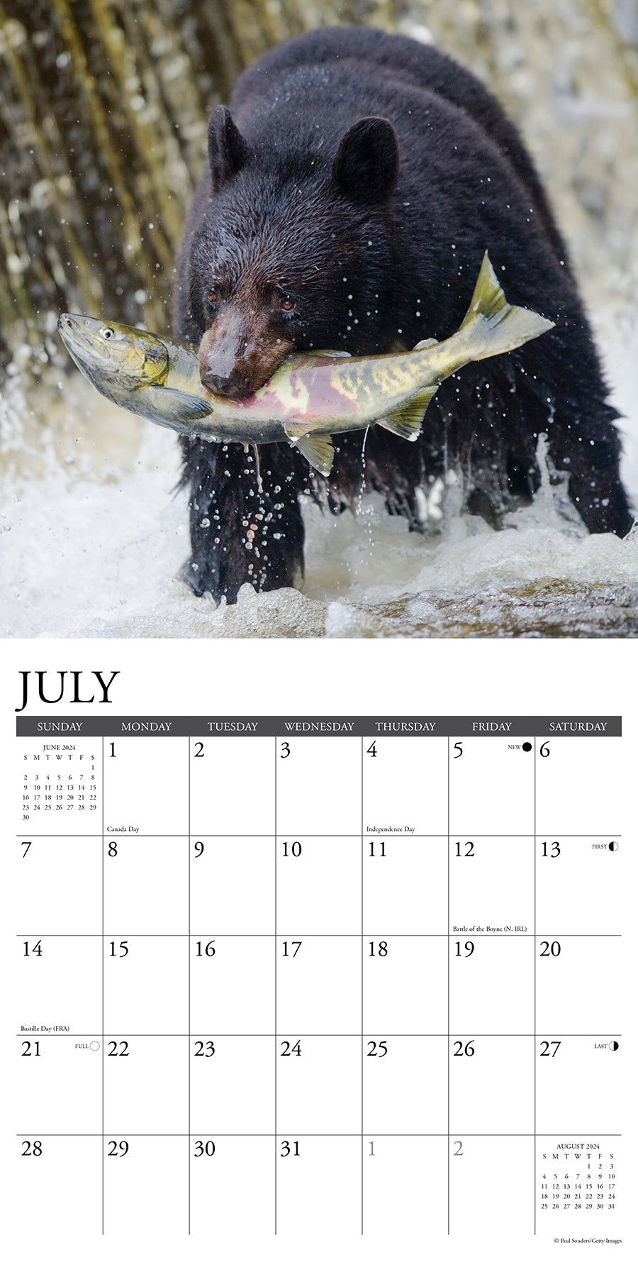 2024 Black Bears - Wall Calendar