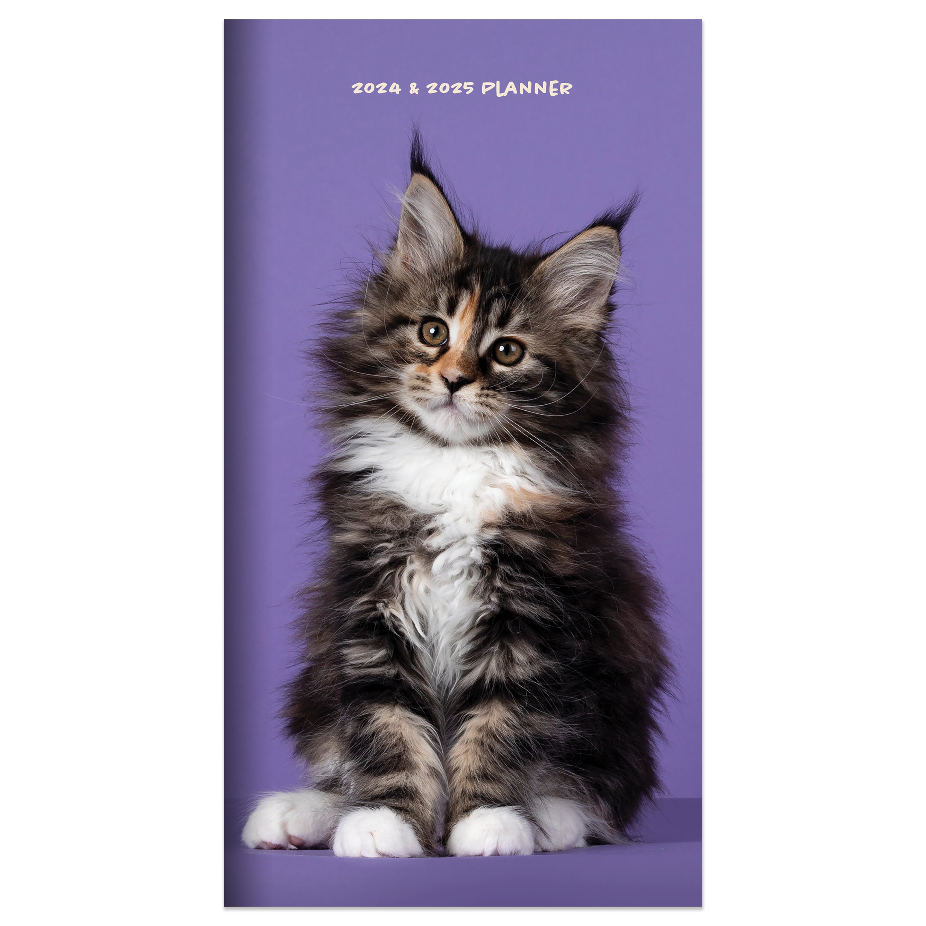 2024-2025 Kitten - Small Monthly Pocket Diary/Planner
