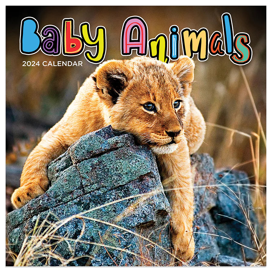 2024 Baby Animals - Mini Wall Calendar