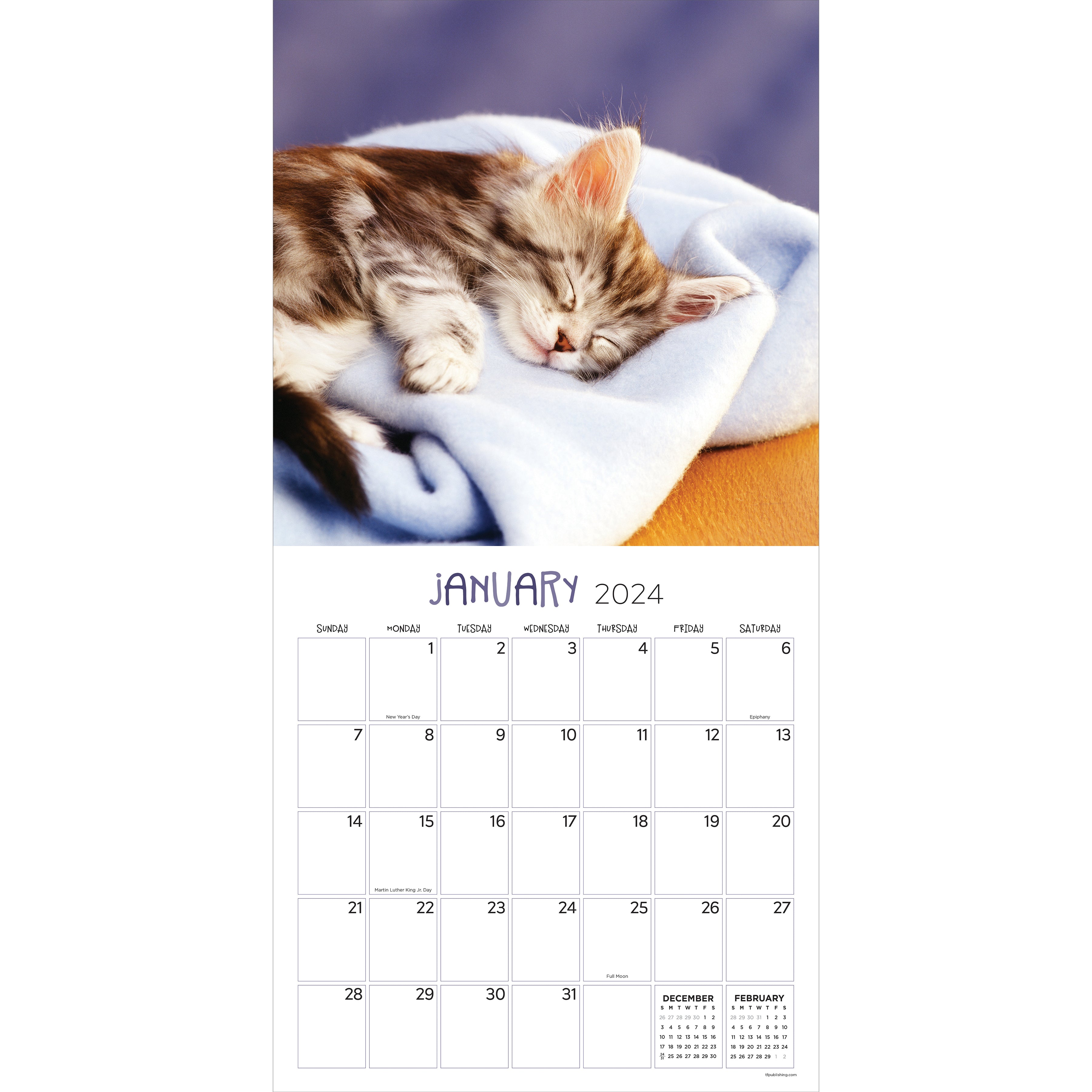 2024 Cat Dreams - Square Wall Calendar