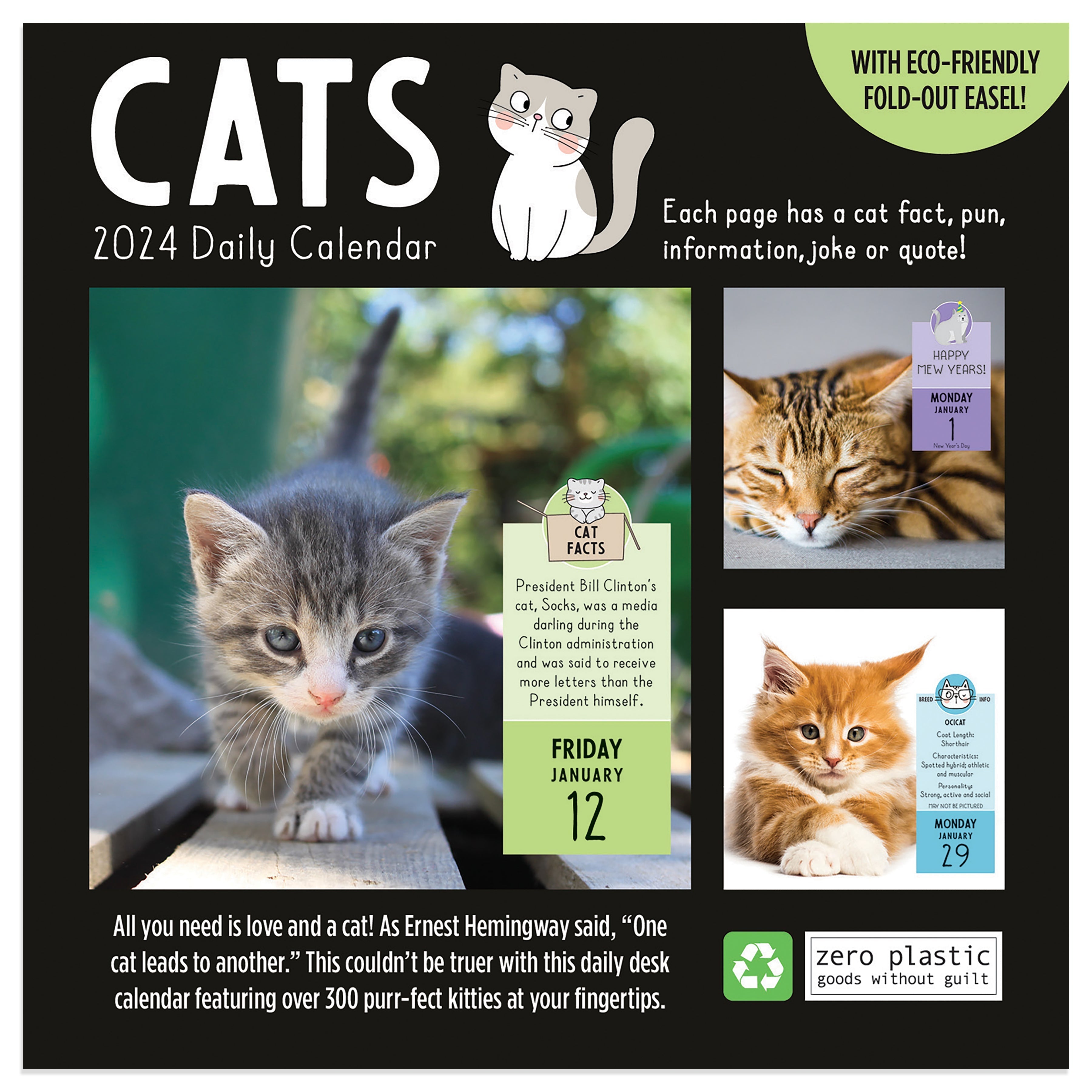 2024 Cat A Day - Daily Boxed Page-A-Day  Calendar