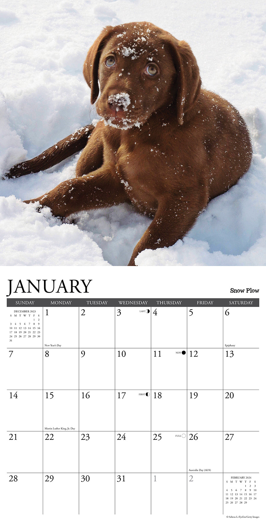 2024 12 Uses for a Lab - Wall Calendar