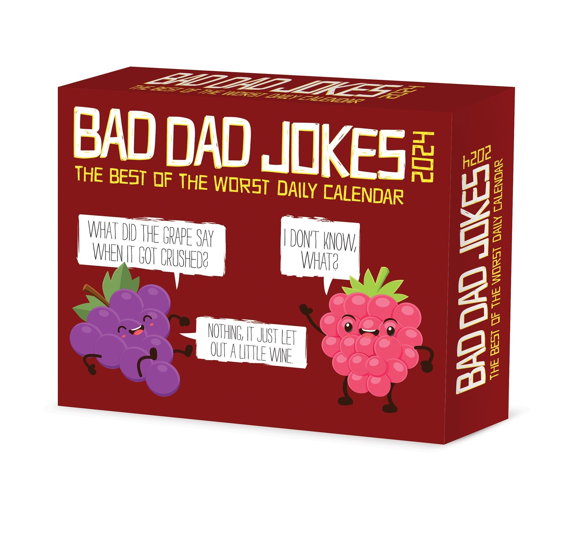 2024 Bad Dad Jokes - Boxed Page A Day Calendar