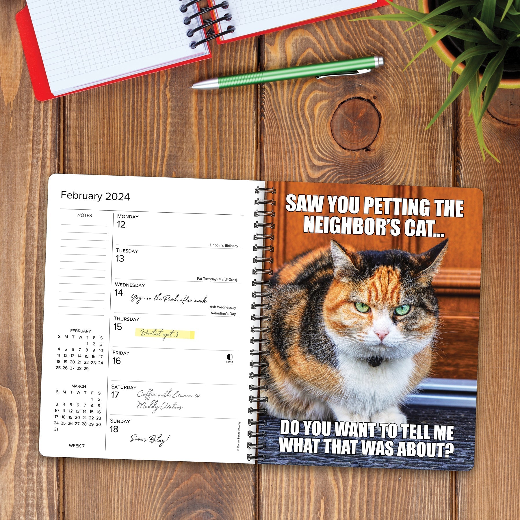 2024 Cat-astrophe - Weekly Planner Diary