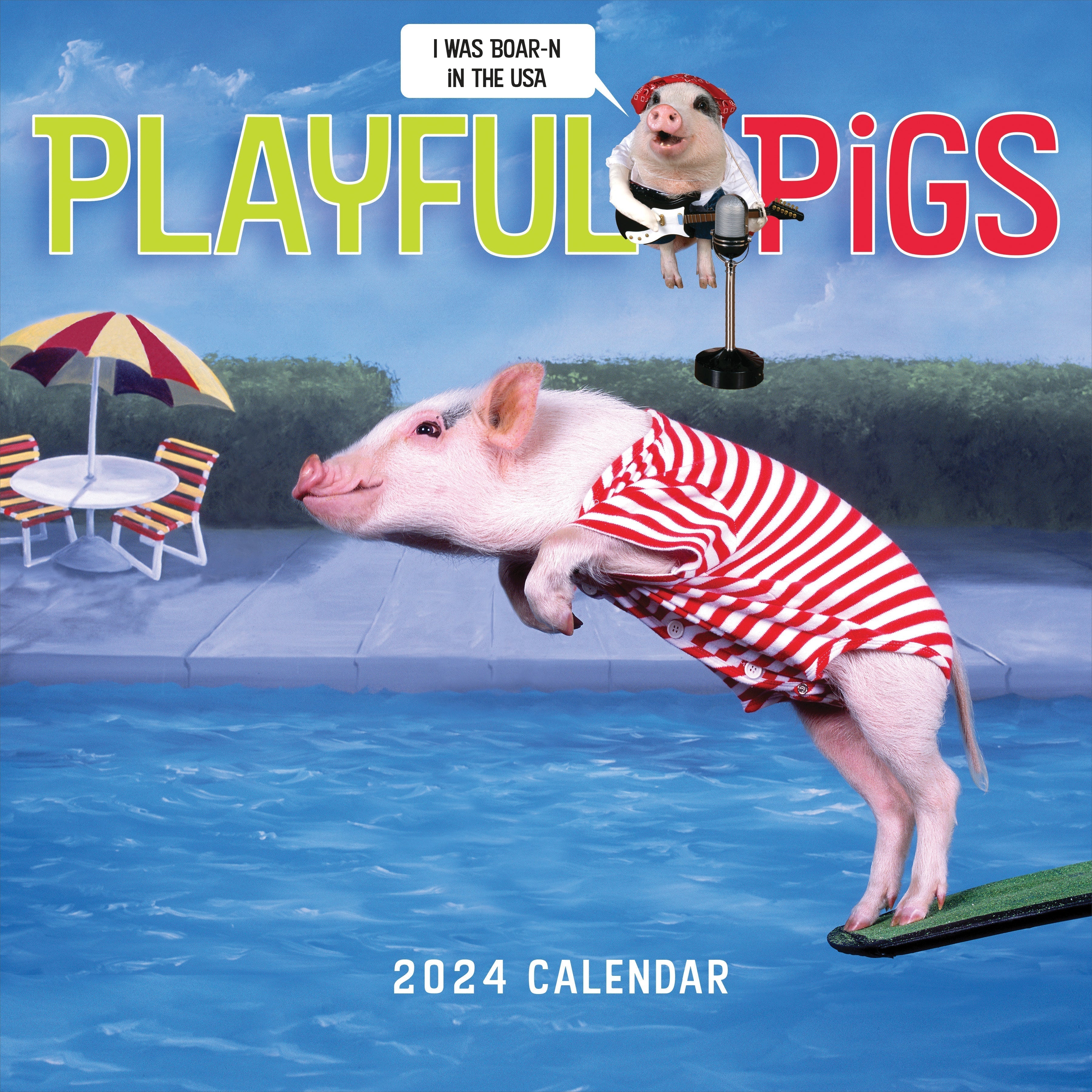 2024 Playful Pigs - Square Wall Calendar