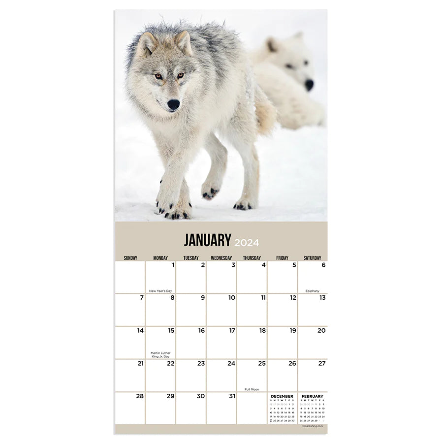 2024 Wolves - Mini Wall Calendar