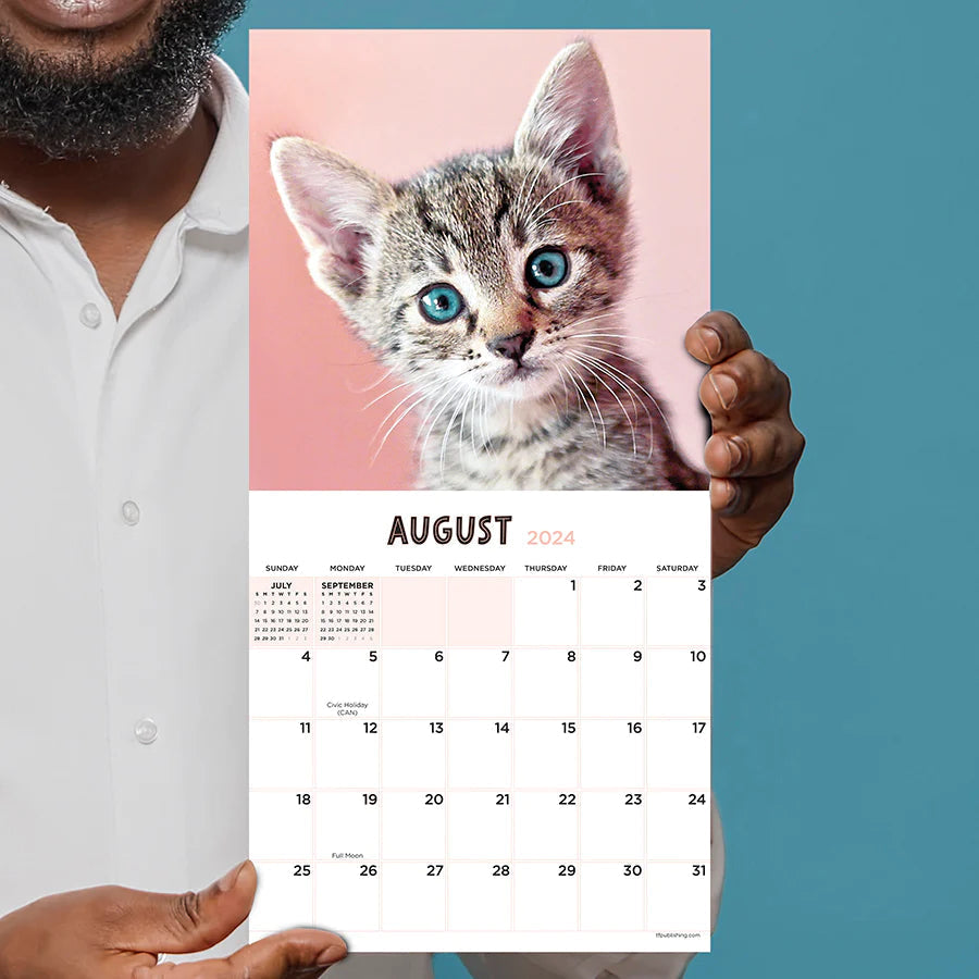 2024 Kittens - Mini Wall Calendar