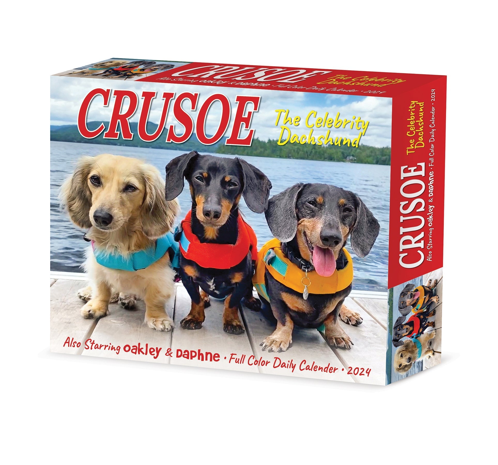 2024 Crusoe the Celebrity Dachshund - Boxed Page A Day Calendar