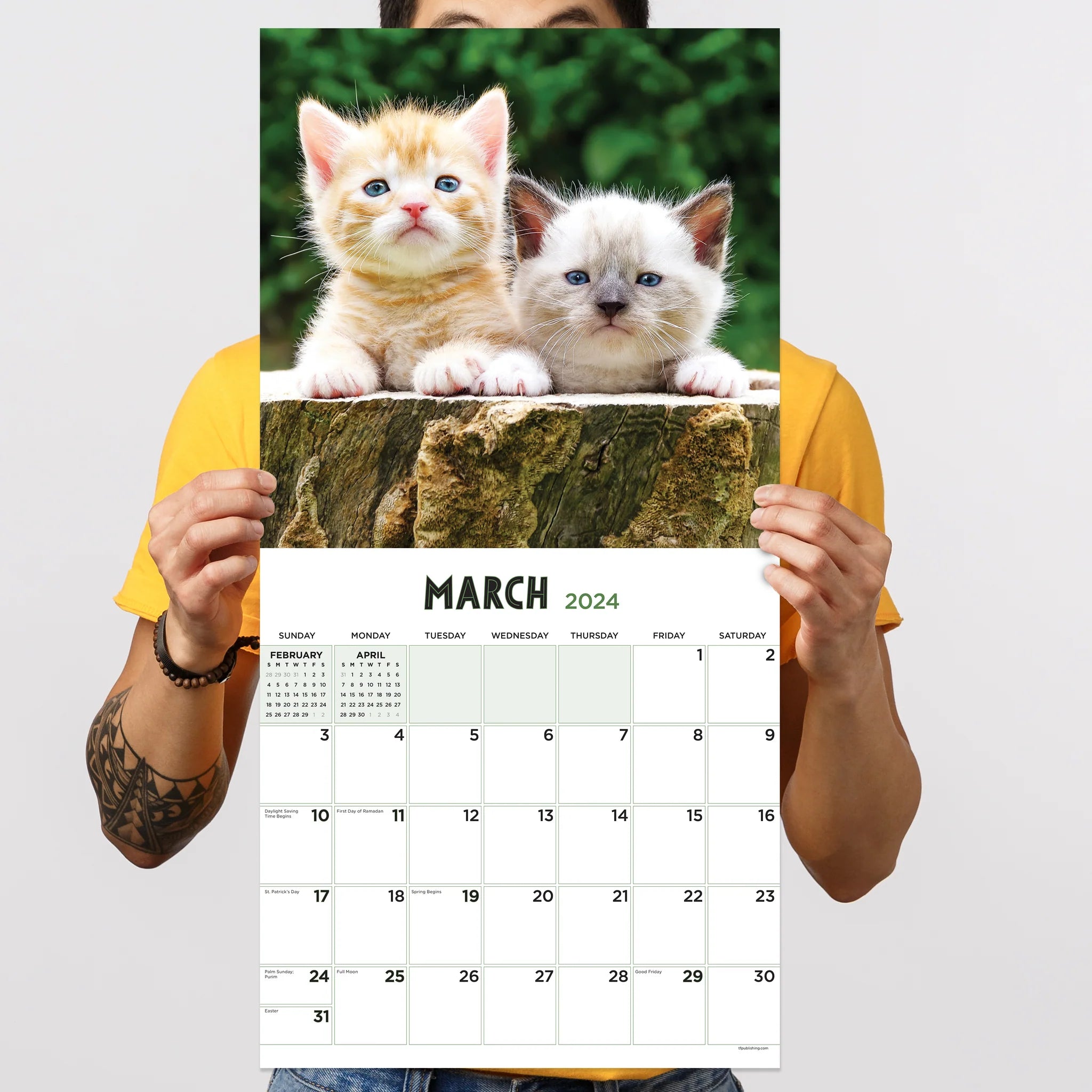 2024 Kittens (by TF Publishing) - Square Wall Calendar