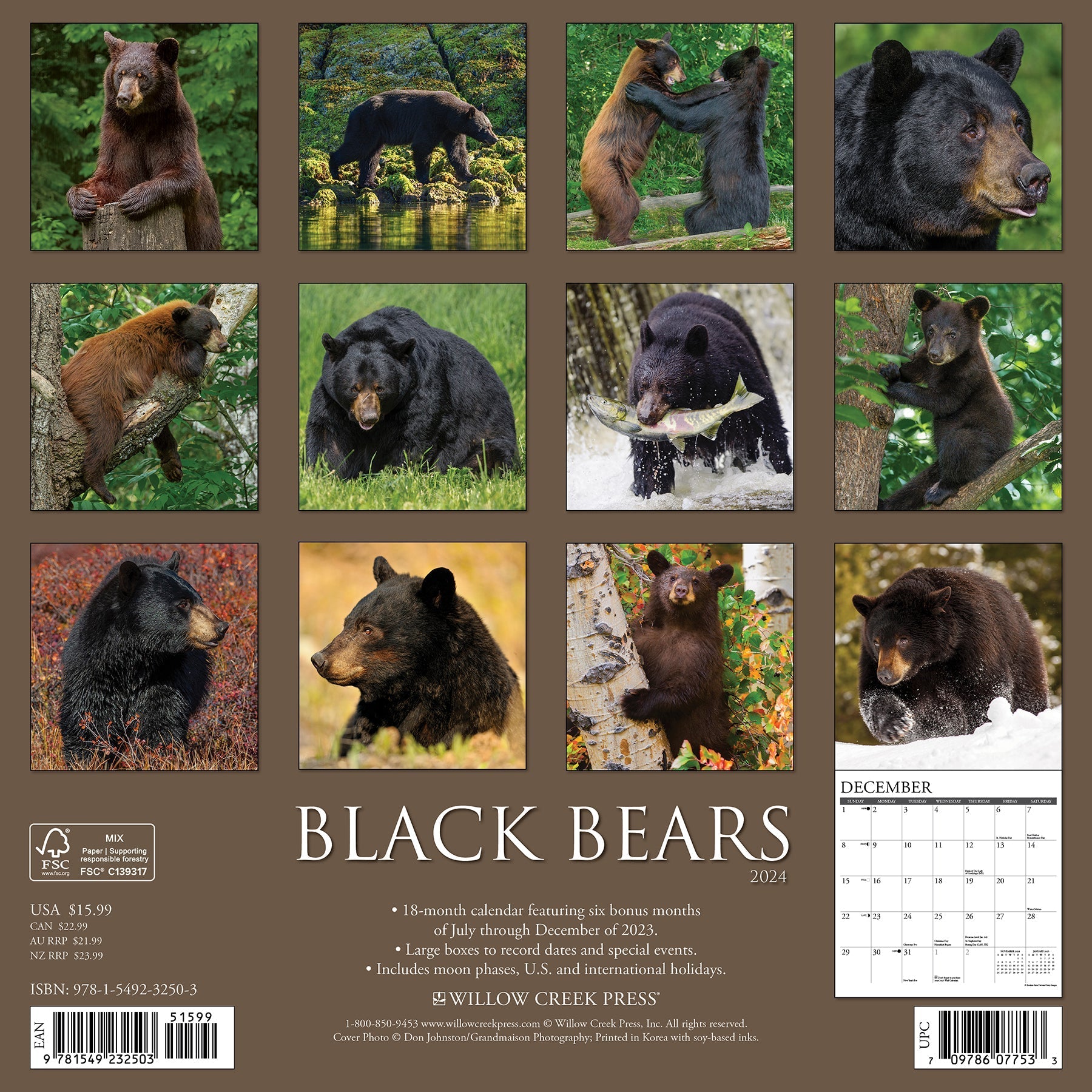 2024 Black Bears - Wall Calendar